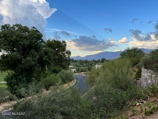 Oro Valley Estates - Residential