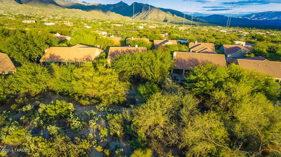 Ventana Canyon Golf Villas - Residential