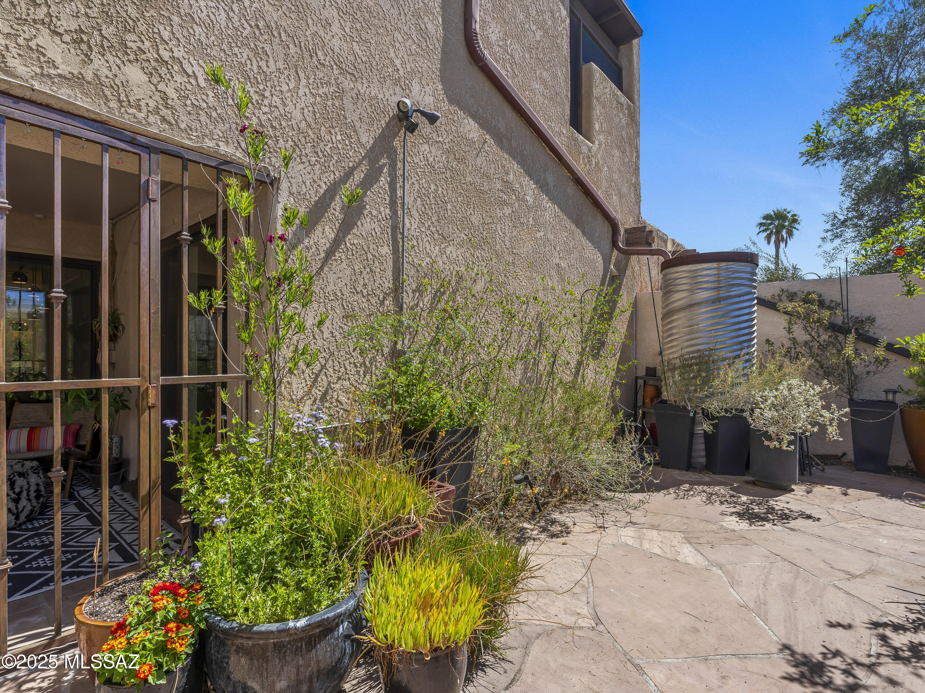 Paseo De El Encanto (1-4) - Residential