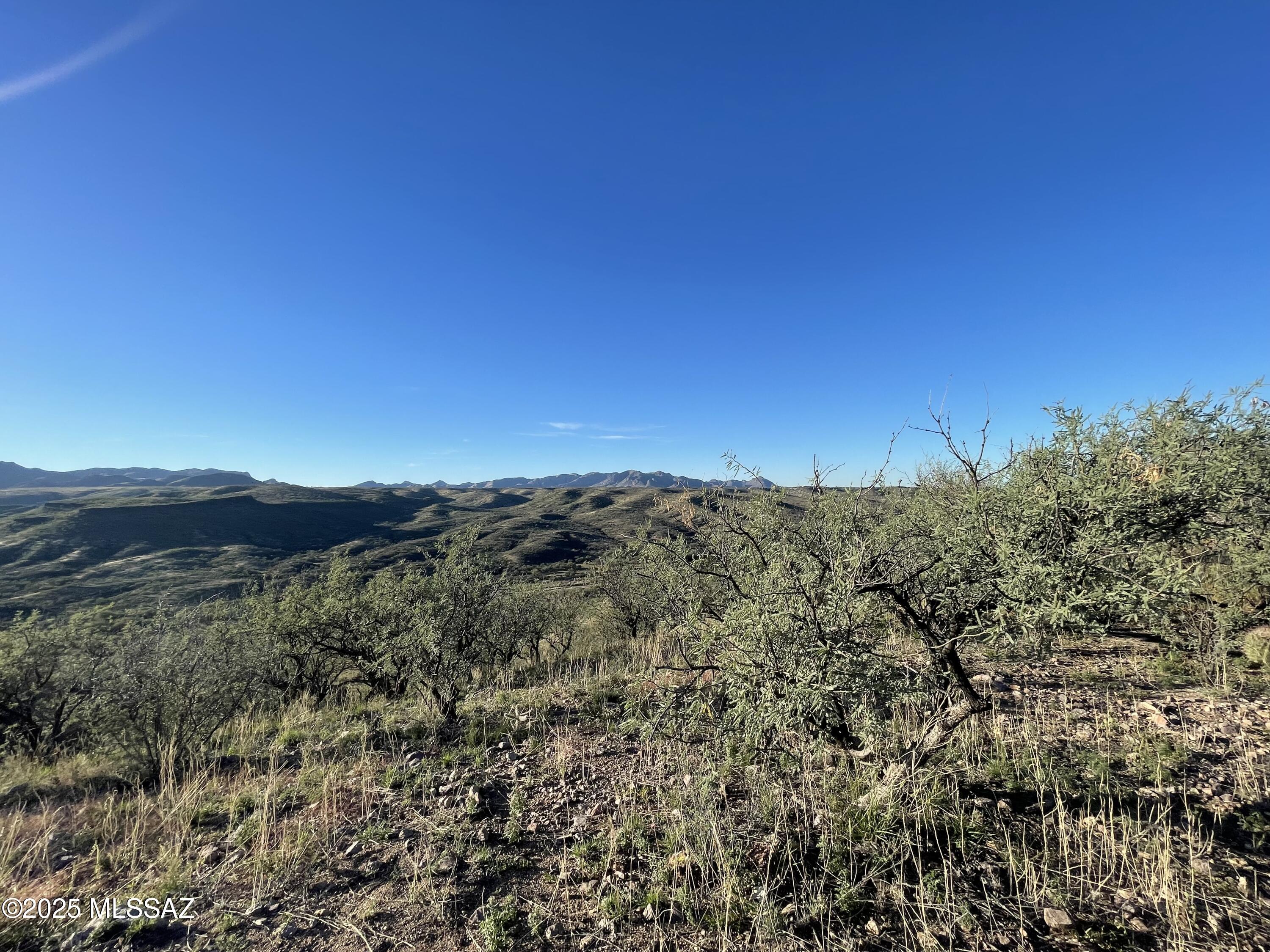 Rio Rico Ranchettes - Land
