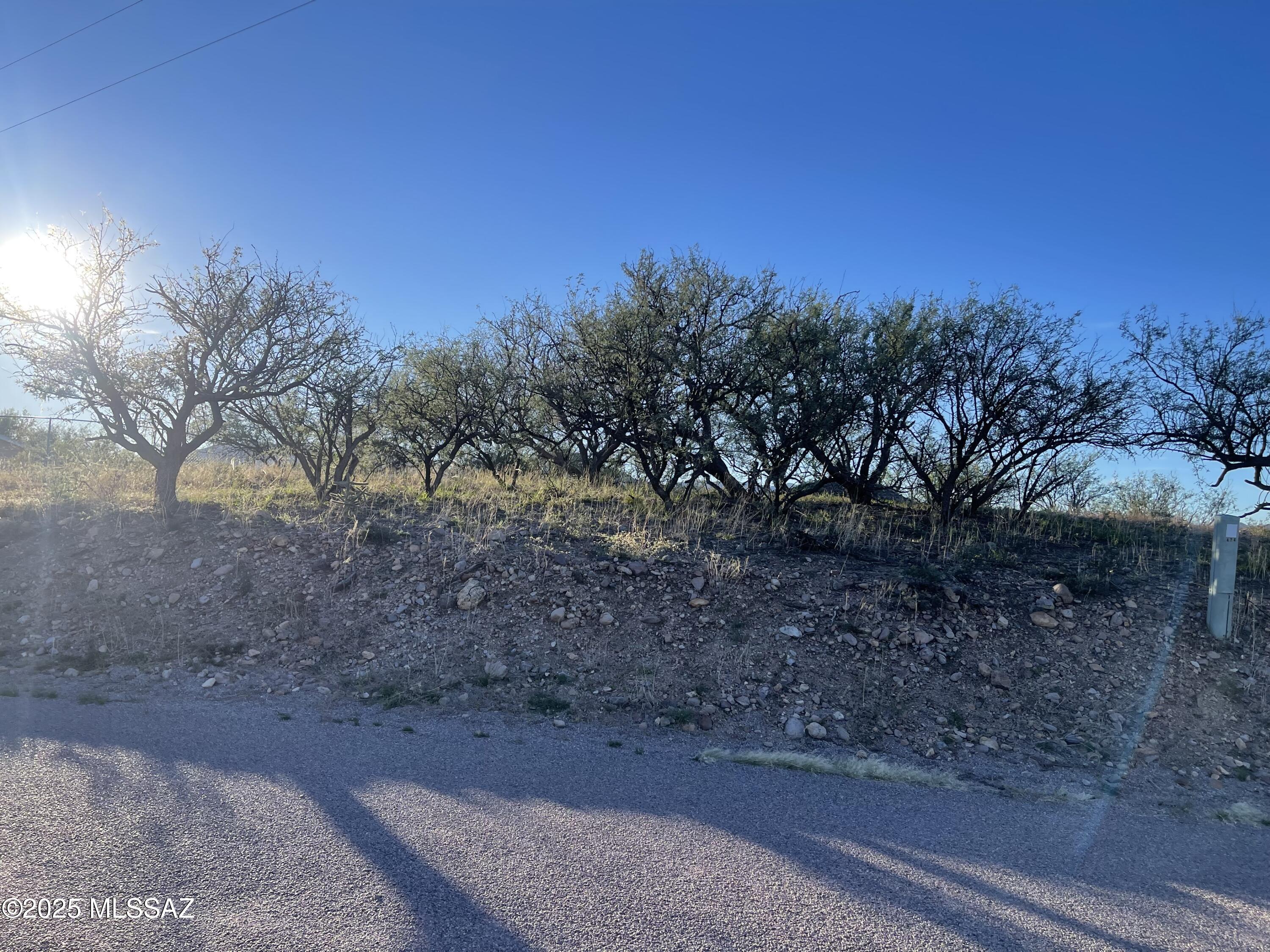Rio Rico Ranchettes - Land