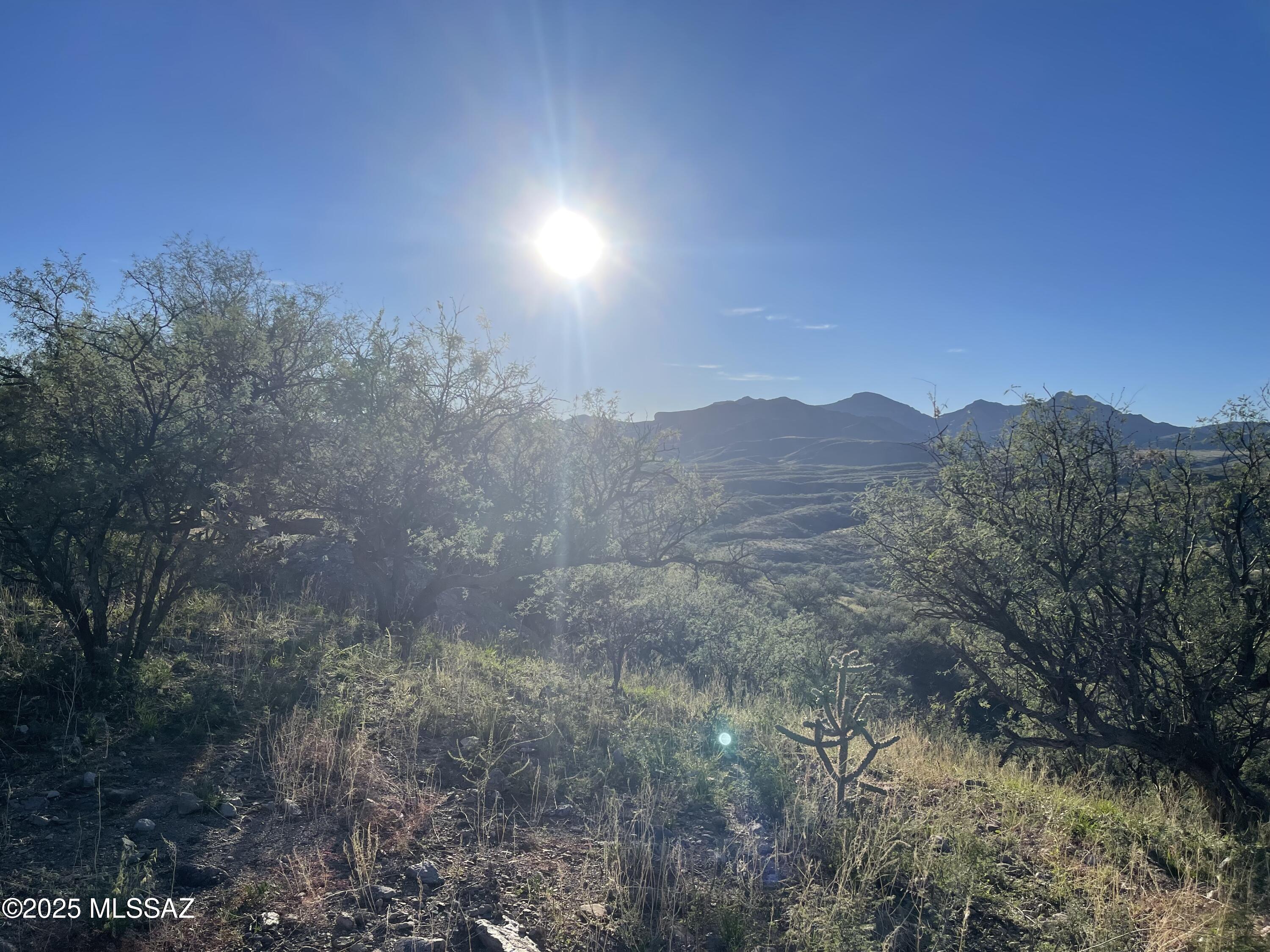 Rio Rico Ranchettes - Land