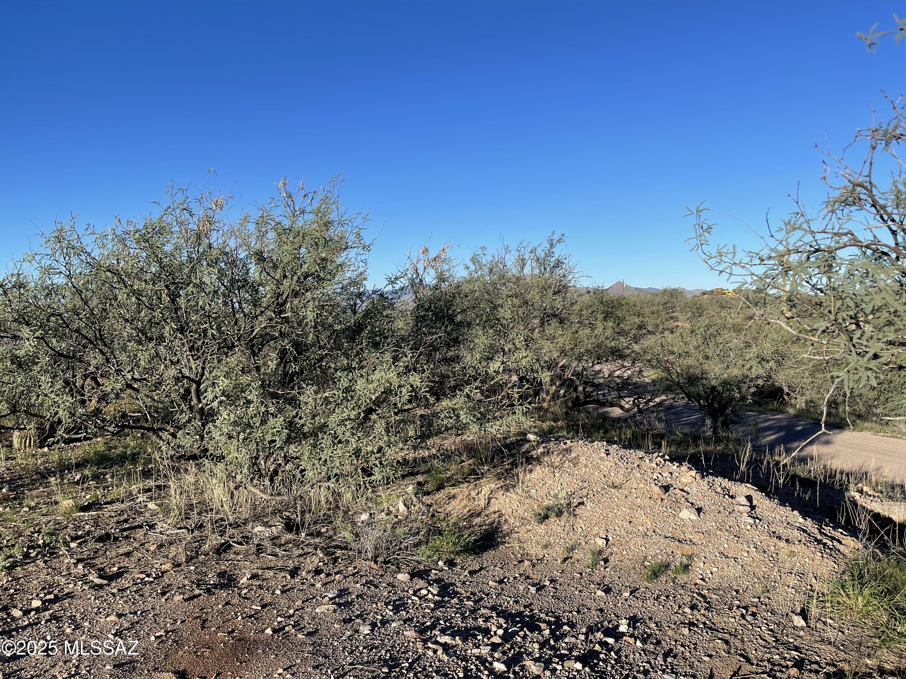 Rio Rico Ranchettes - Land