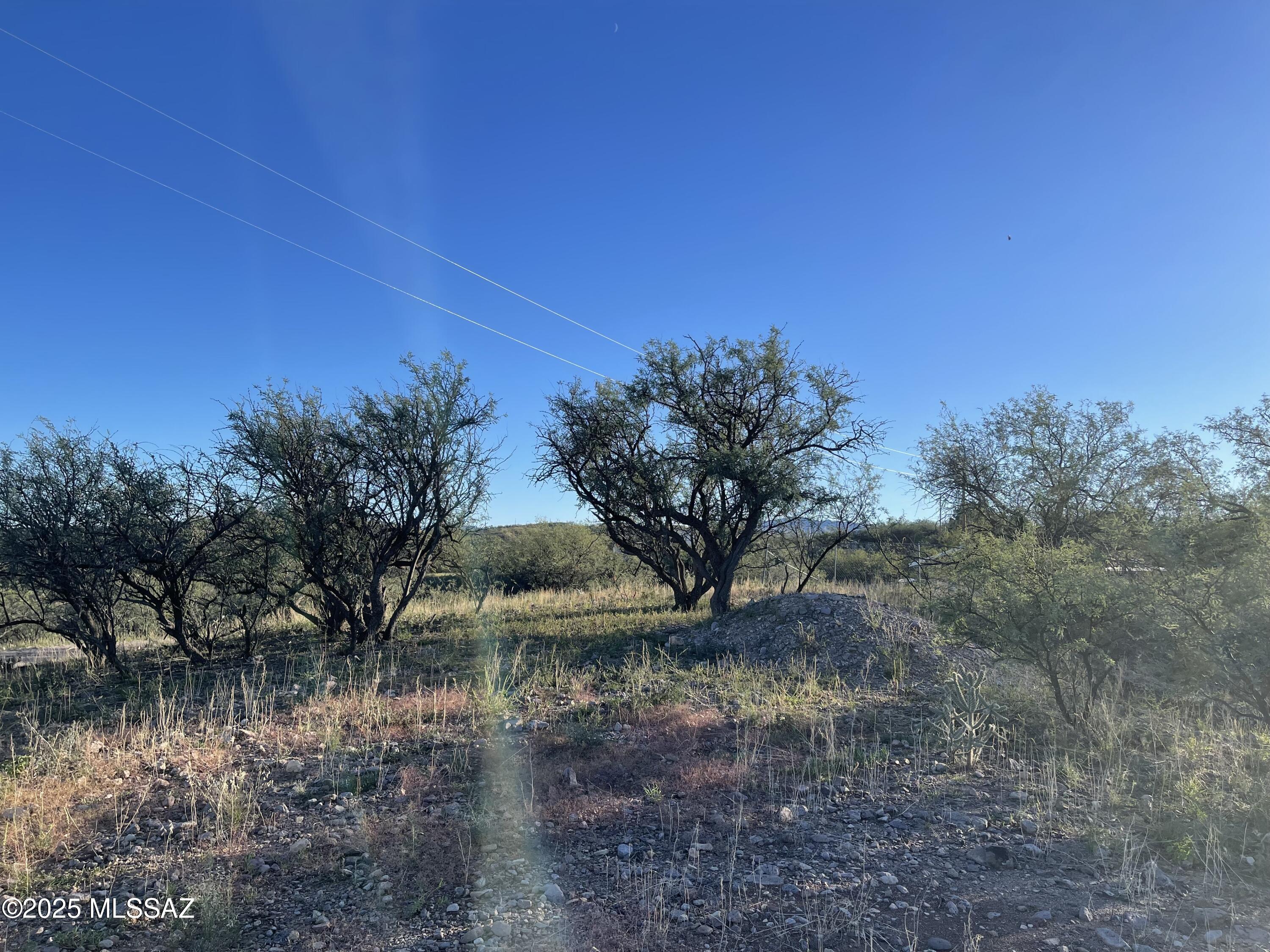 Rio Rico Ranchettes - Land