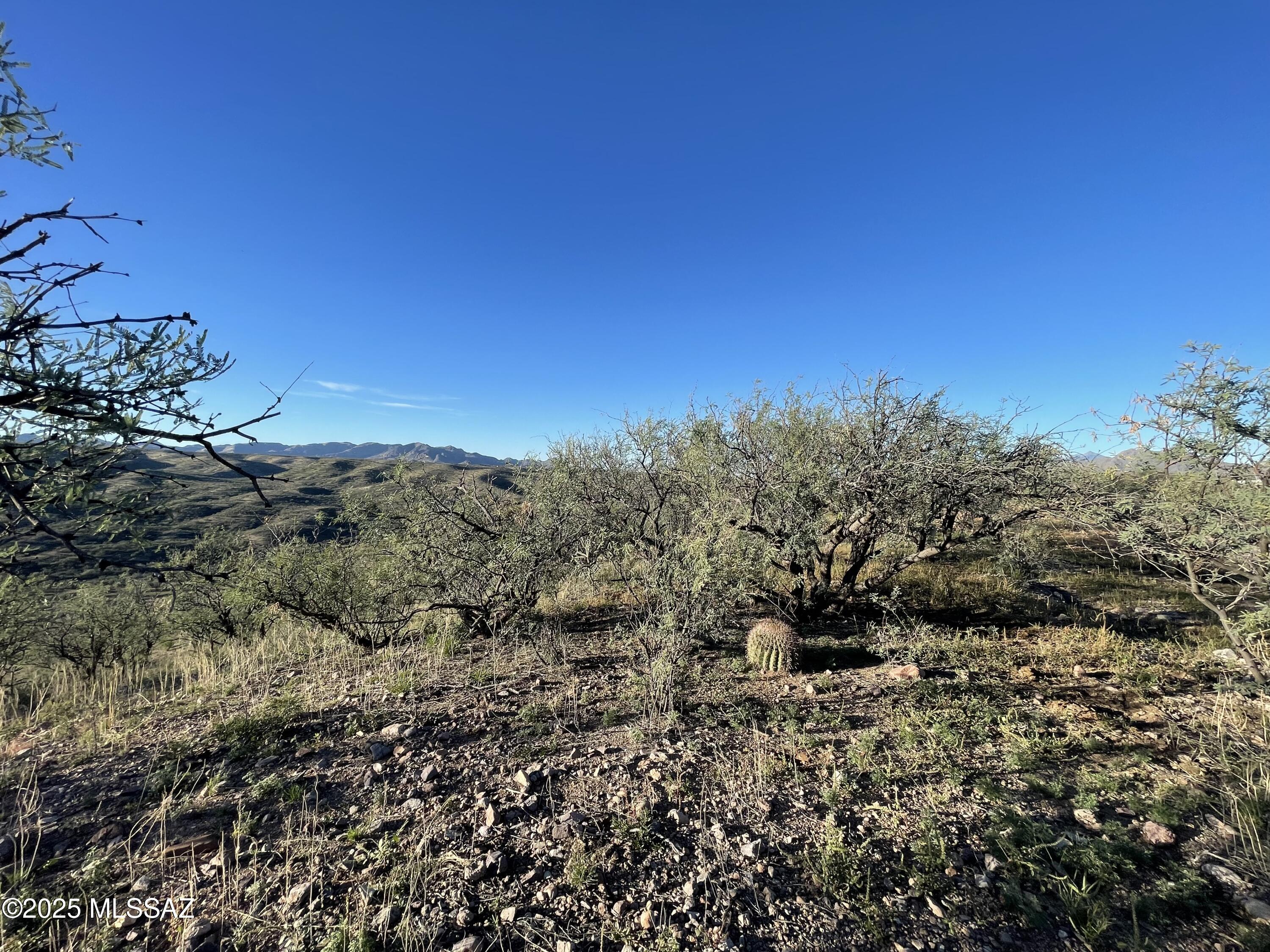 Rio Rico Ranchettes - Land