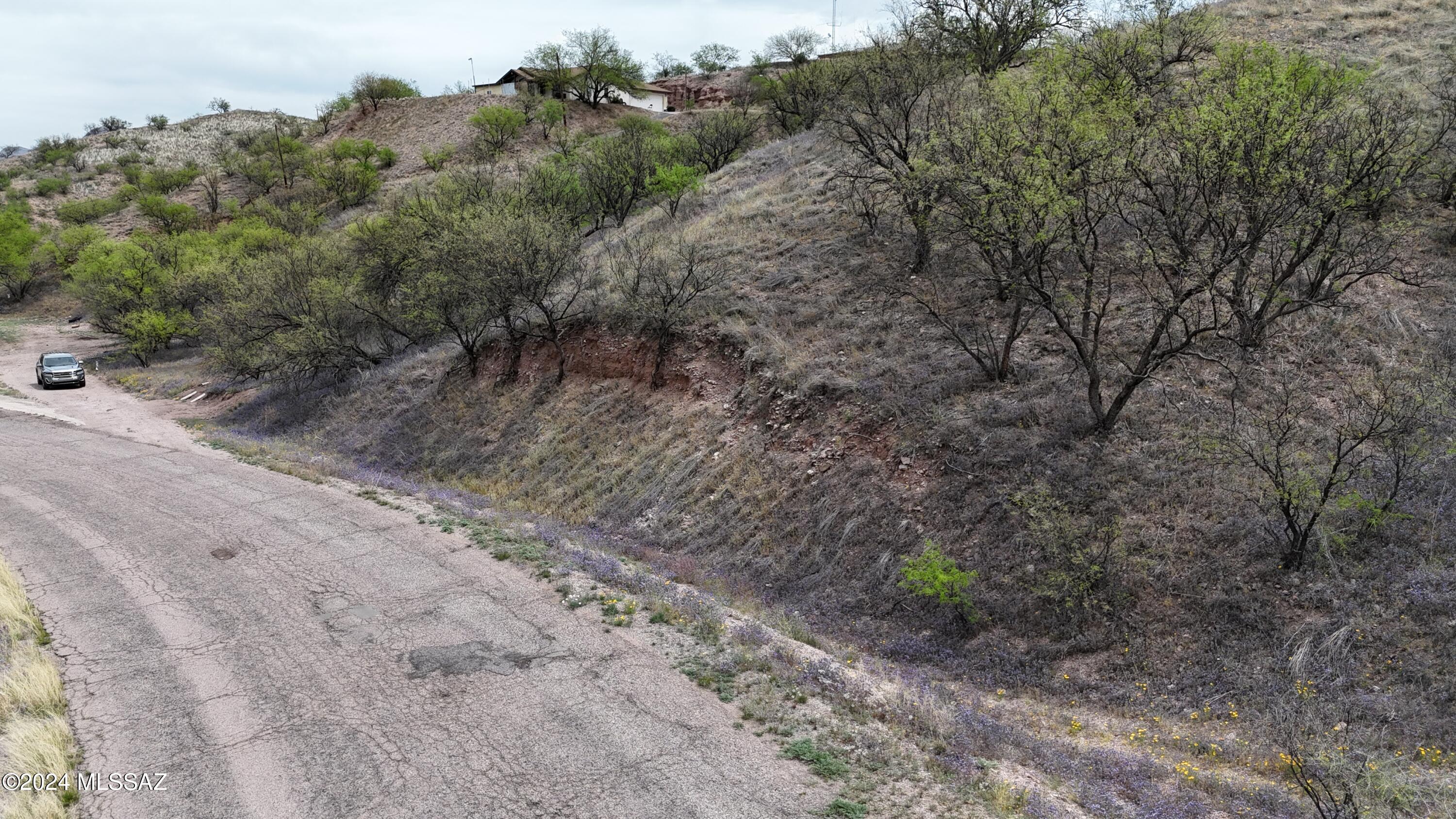 Rio Rico Estates 13 - Land