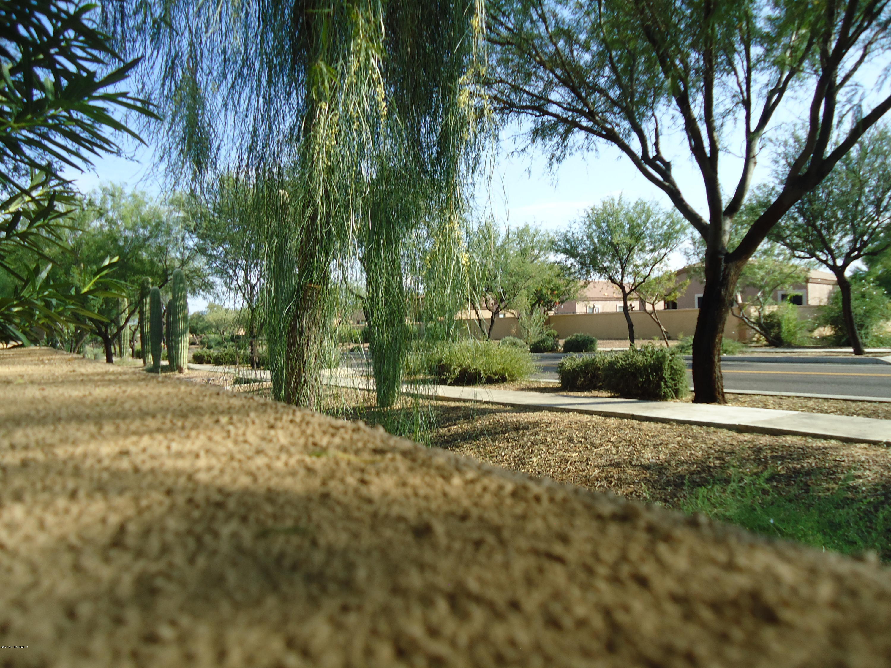 Presidio De Cancion (1-200) - Residential