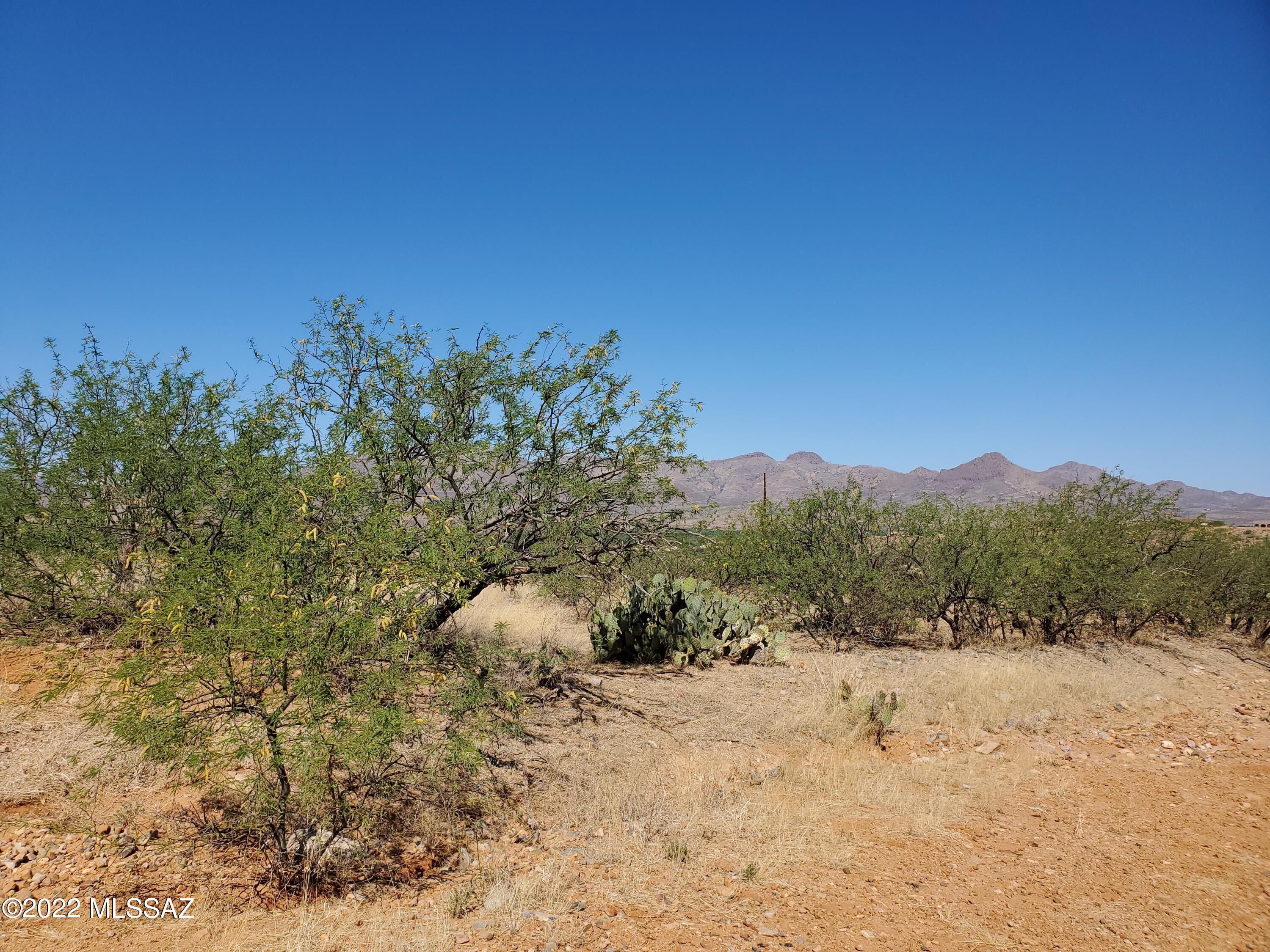 Rio Rico Ranchettes 18 - Land