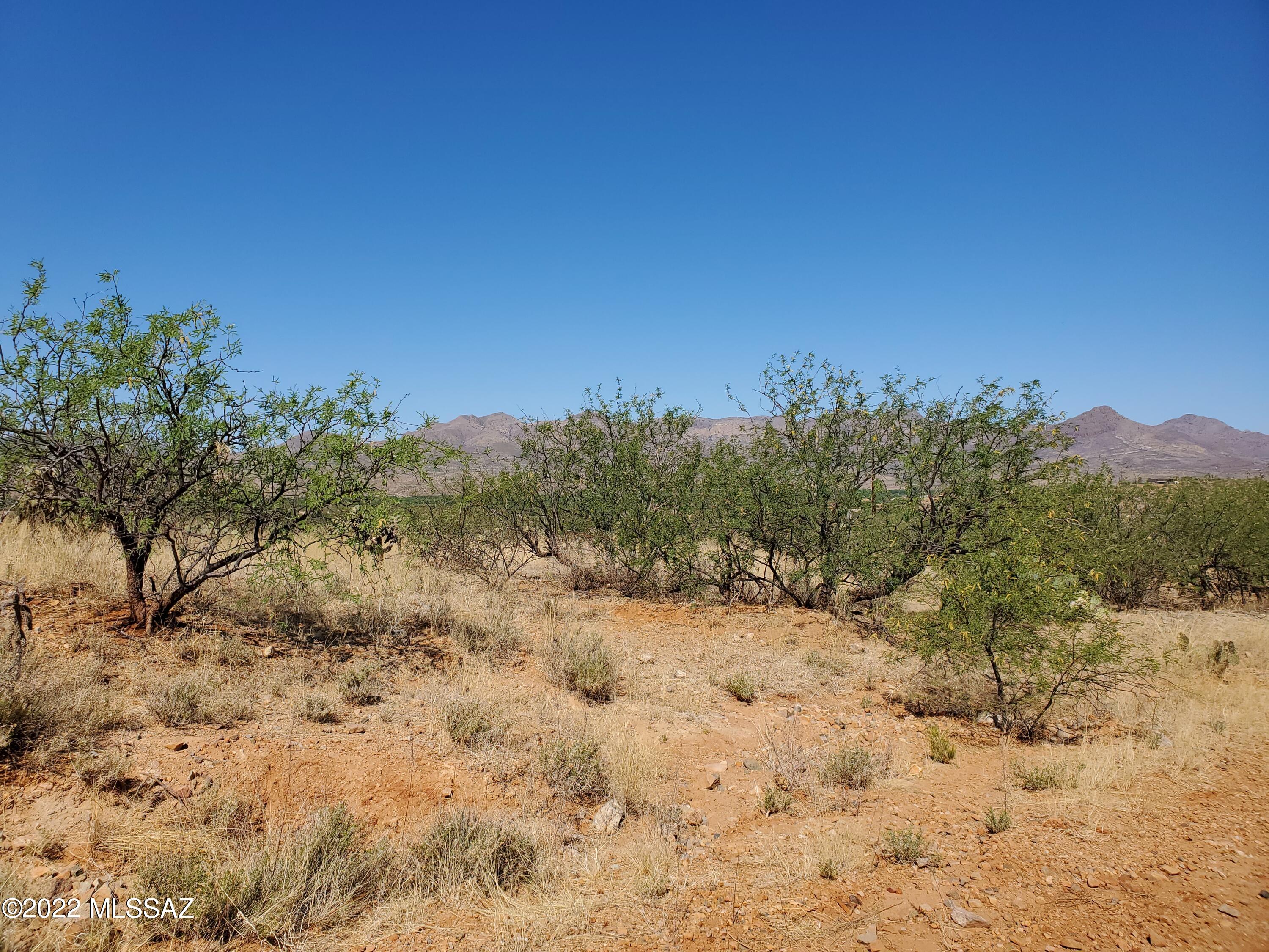 Rio Rico Ranchettes 18 - Land