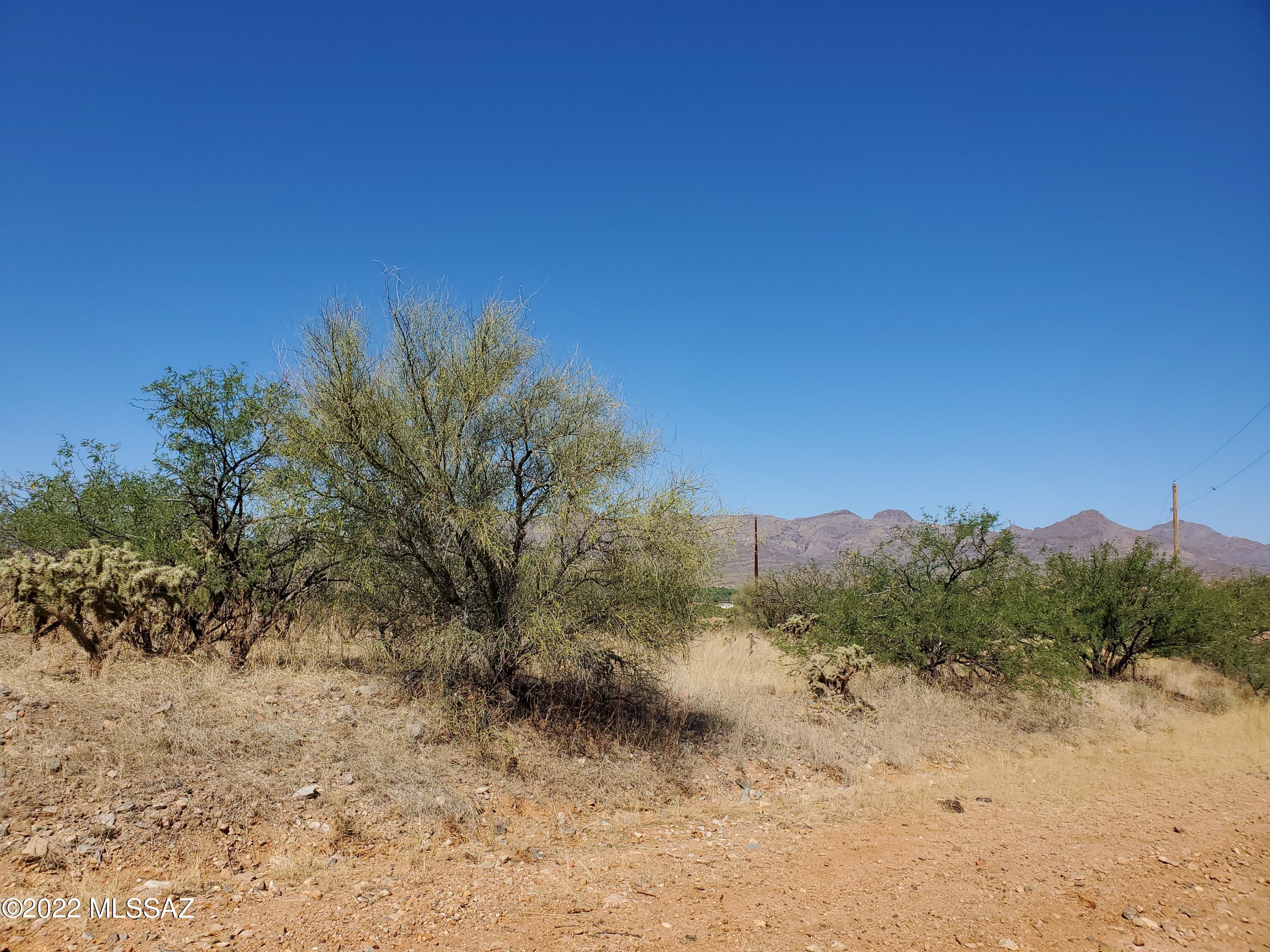 Rio Rico Ranchettes 18 - Land