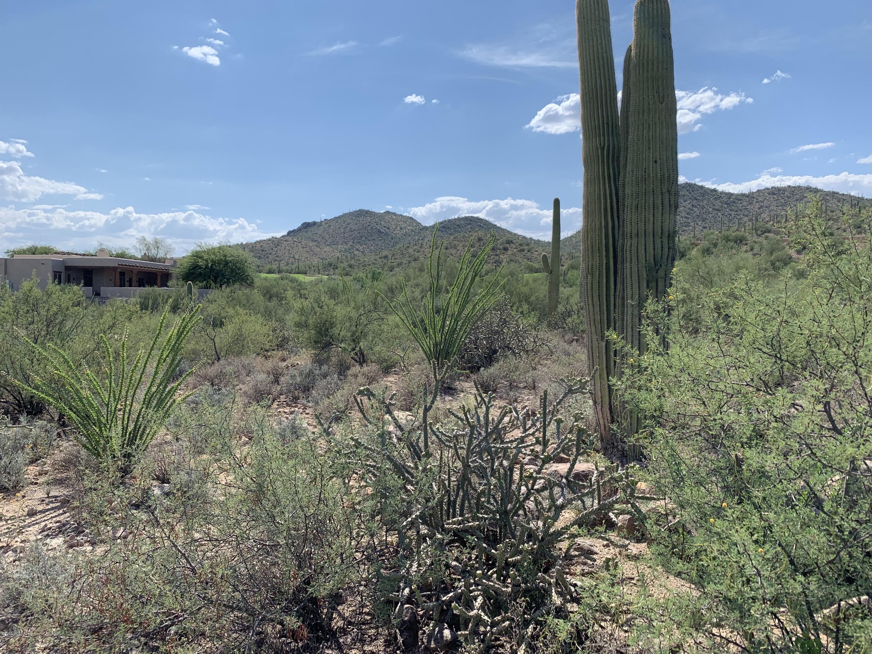 Tohono Ridge (1-21) - Land