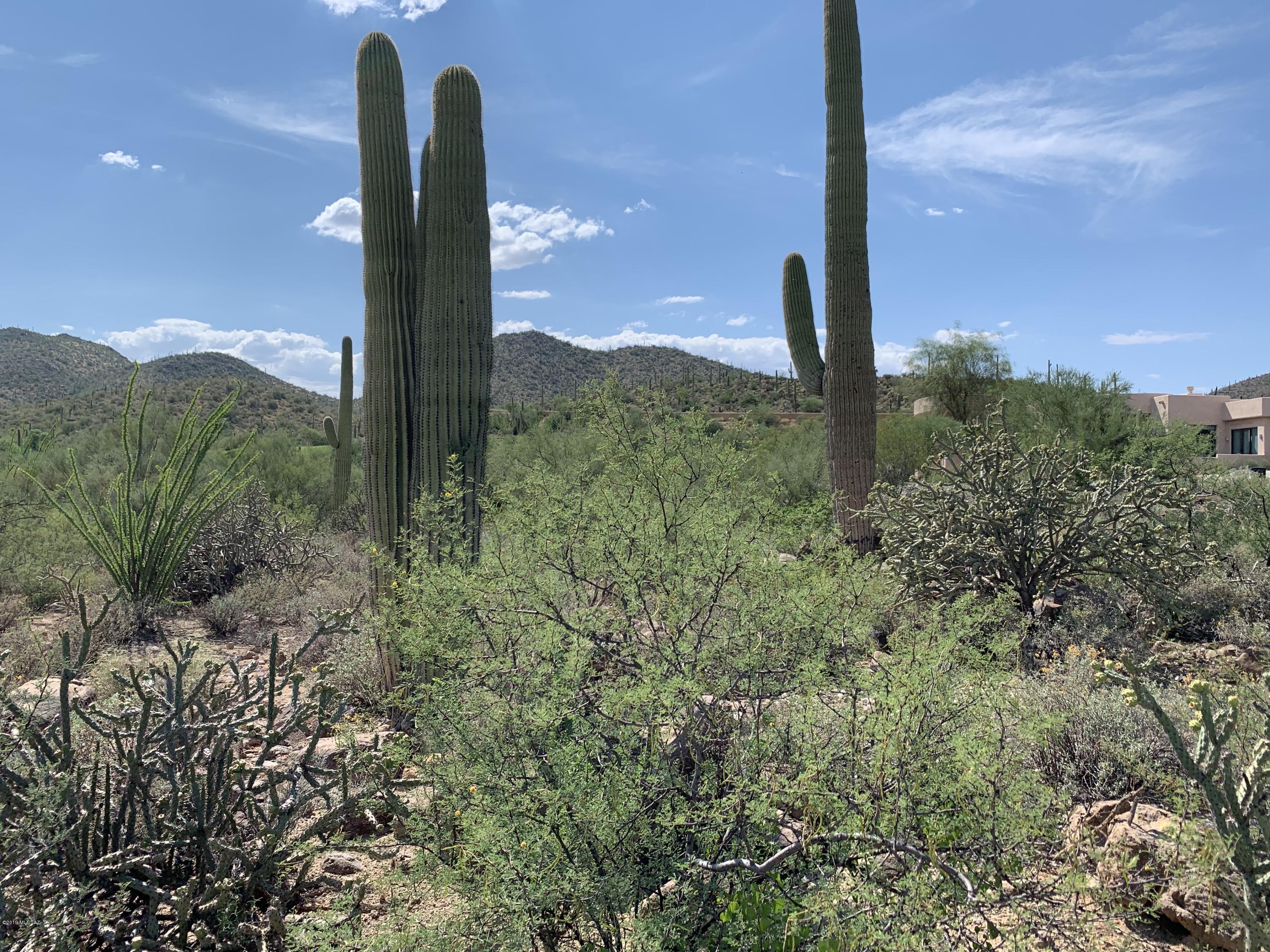 Tohono Ridge (1-21) - Land