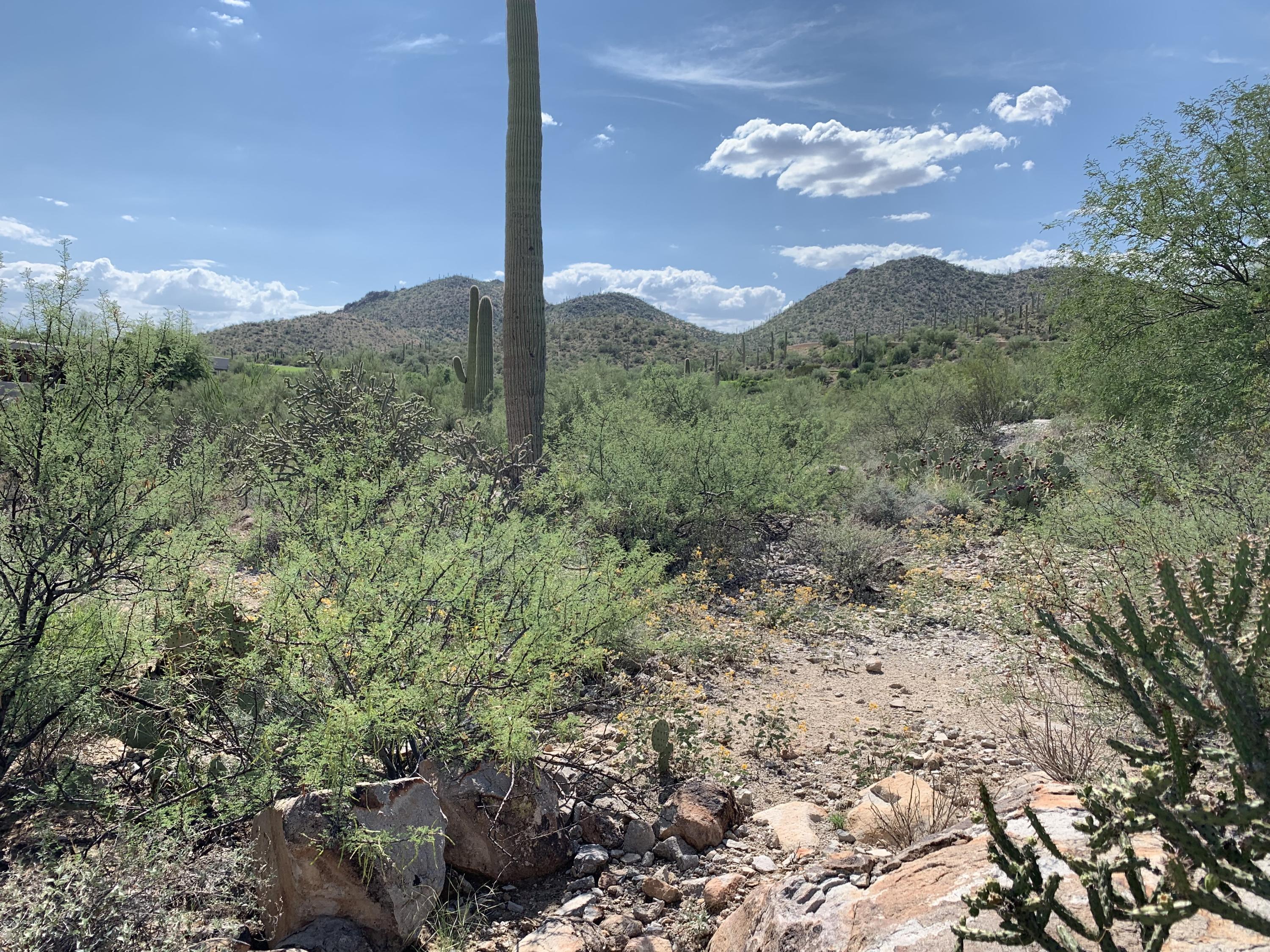Awesome view custom home lot in the sought after gated neighborhood of Tohono Ridge in the Starr Pass Community in the foothills of the Tucson Mountains located just a few hundred feet from the Starr Pass Golf Course and the J.W. Marriott Resort & Spa. Enjoy Resort Living and convenience to Downtown Tucson and the University of Arizona. This is a traffic Lot with views of the city lights and the incredible Tucson Mountains and sunsets. Don't miss your opportunity to own and build your dream home in this one of a kind location.