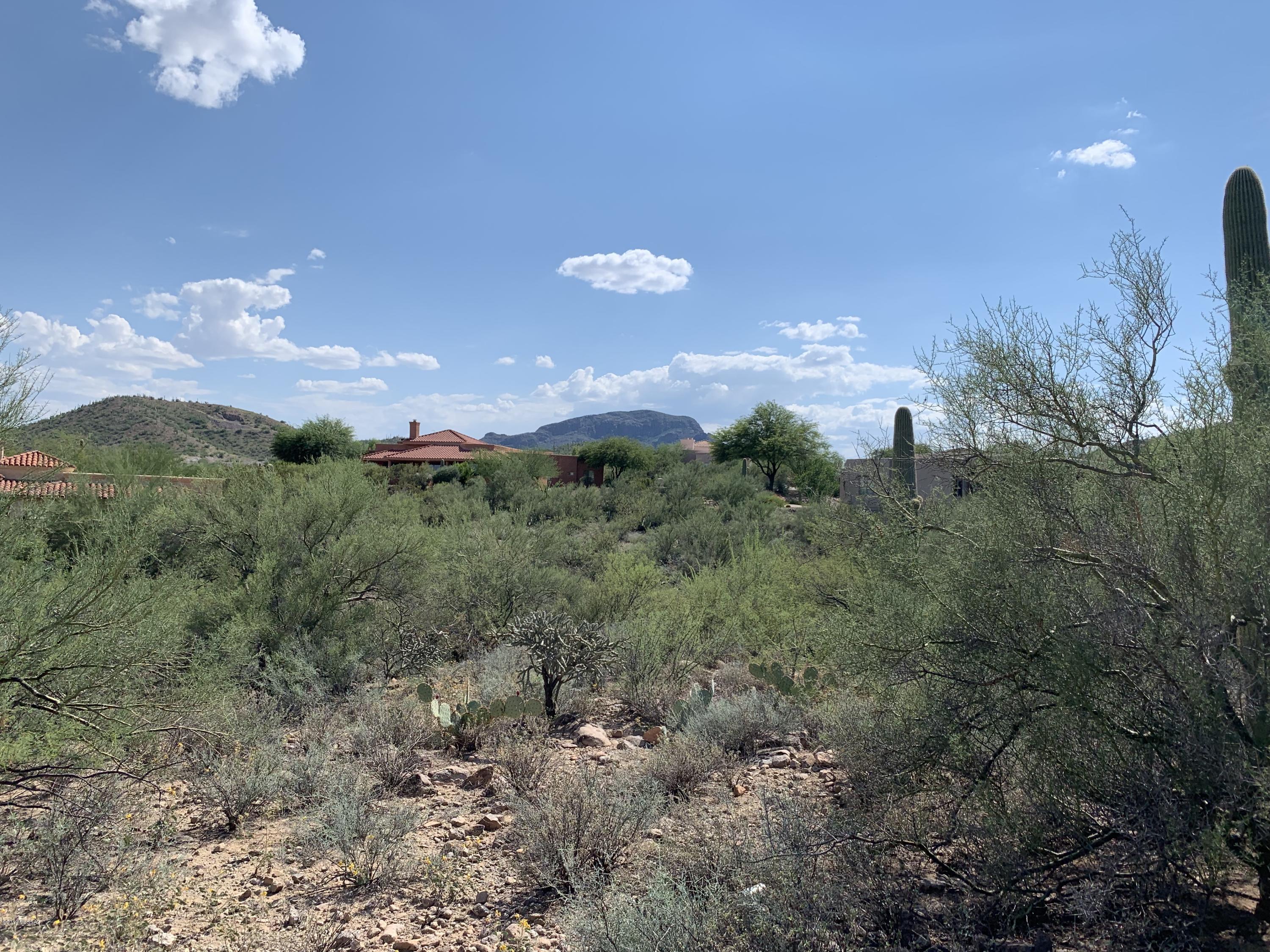 Tohono Ridge (1-21) - Land
