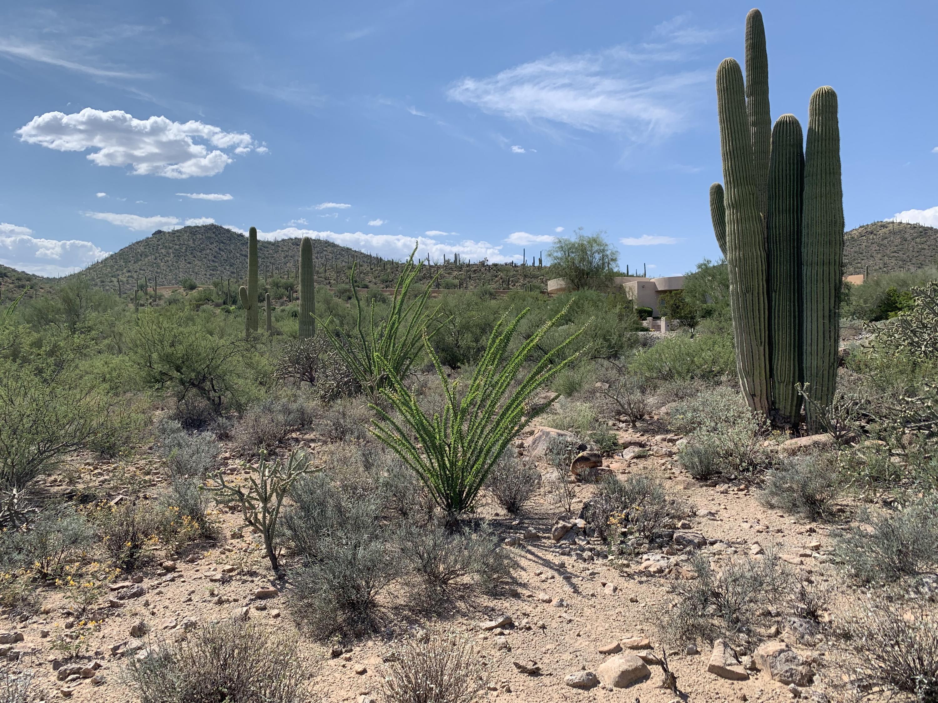Tohono Ridge (1-21) - Land