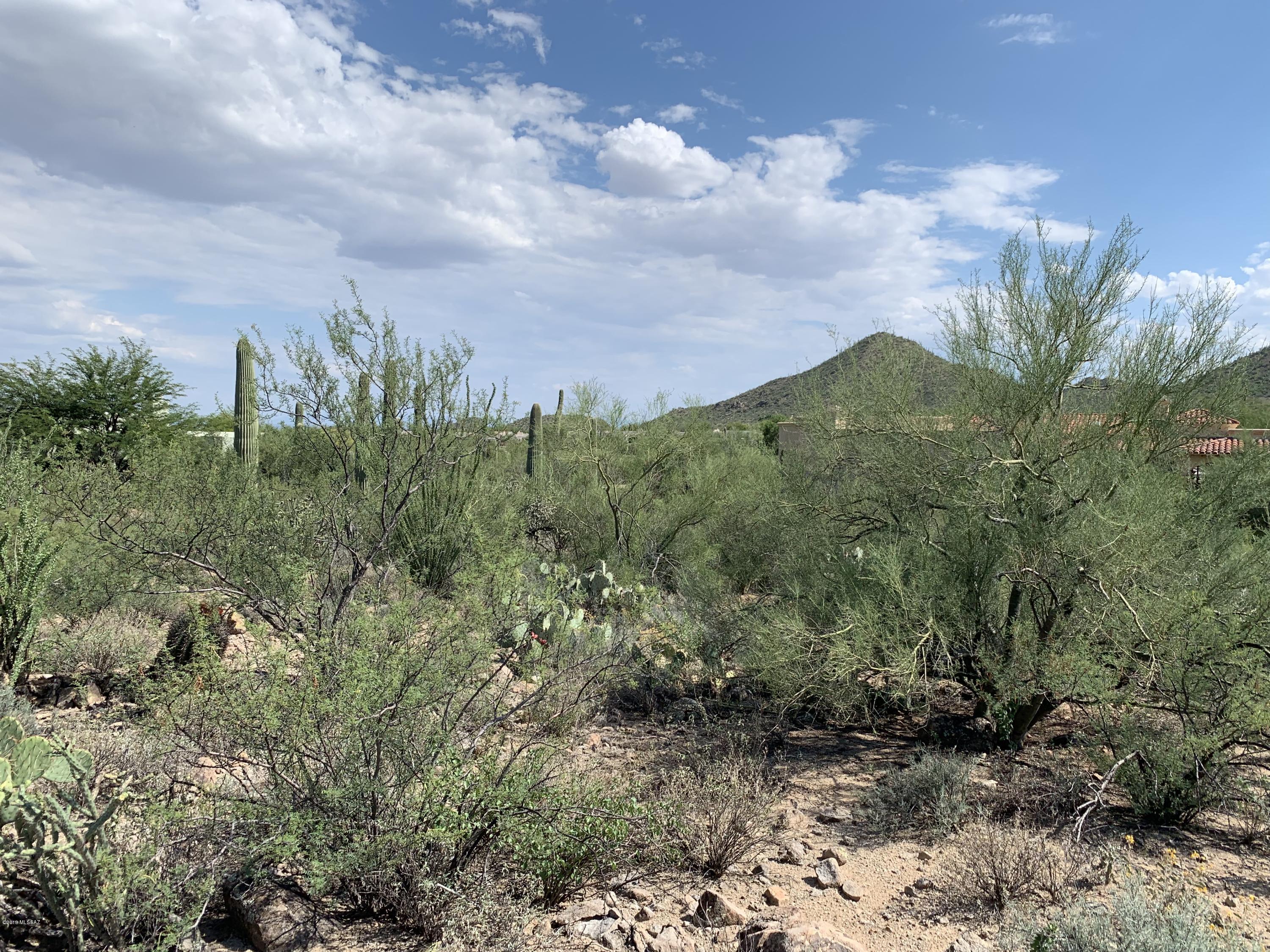 Tohono Ridge (1-21) - Land