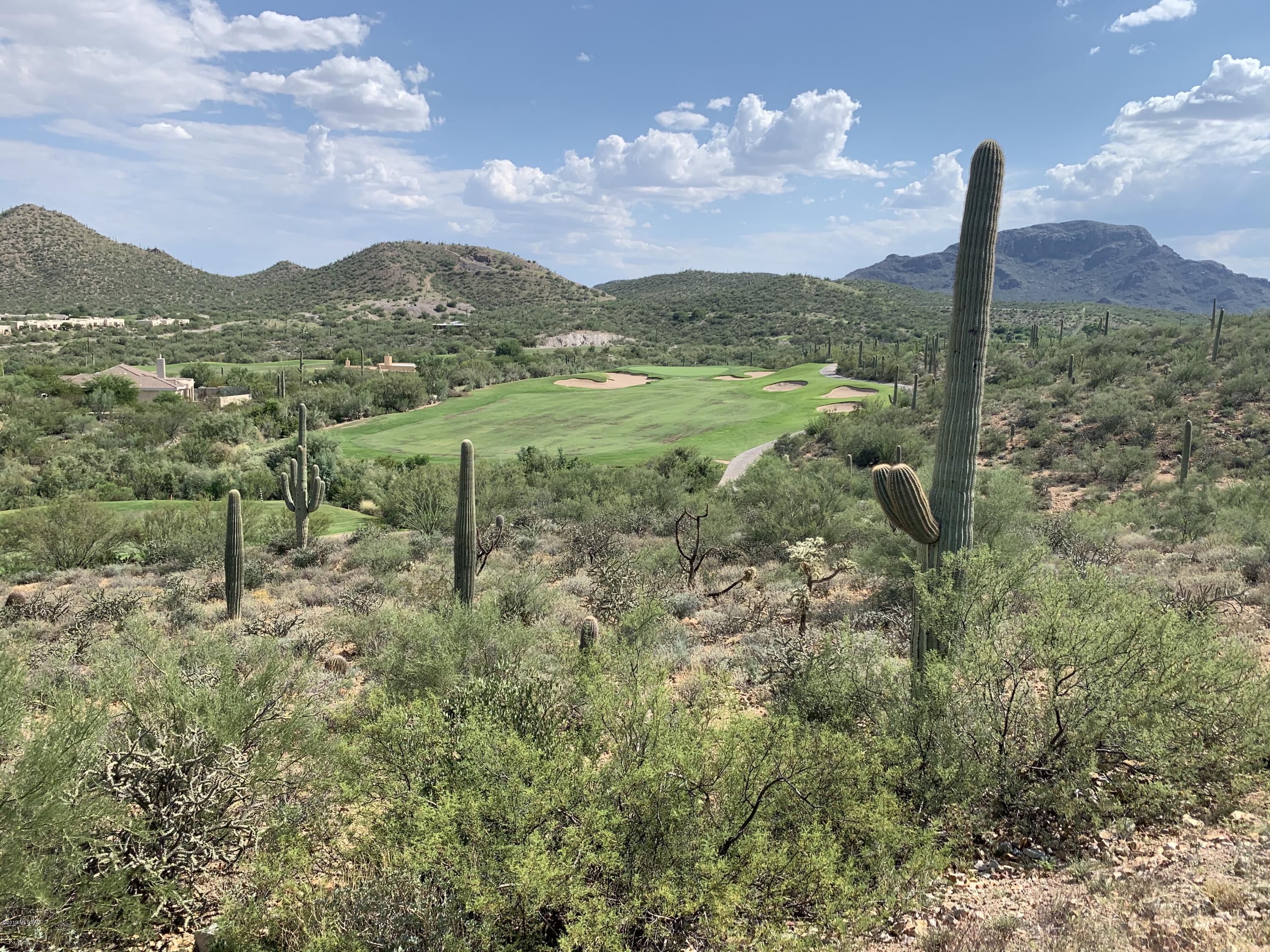 Tohono Ridge (1-21) - Land