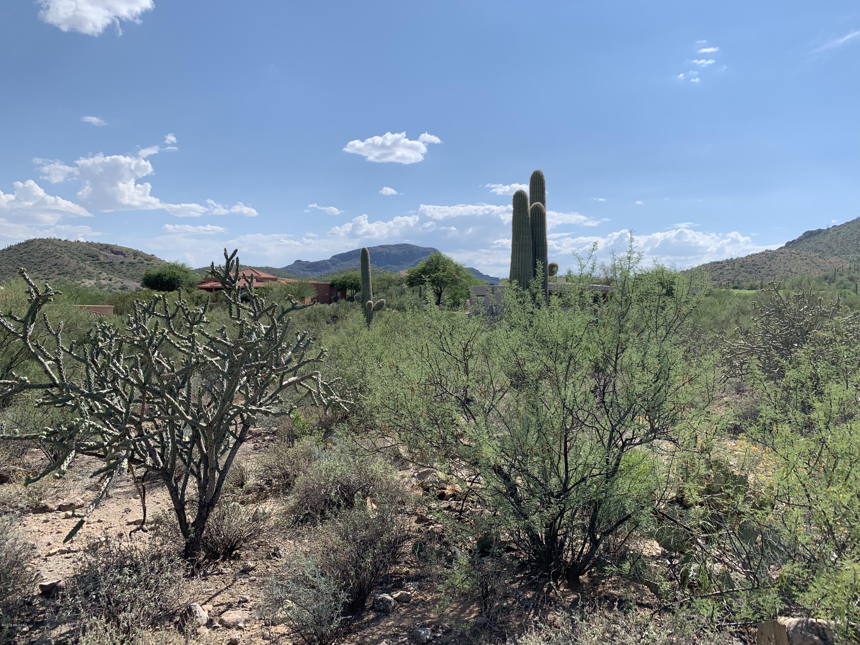 Tohono Ridge (1-21) - Land