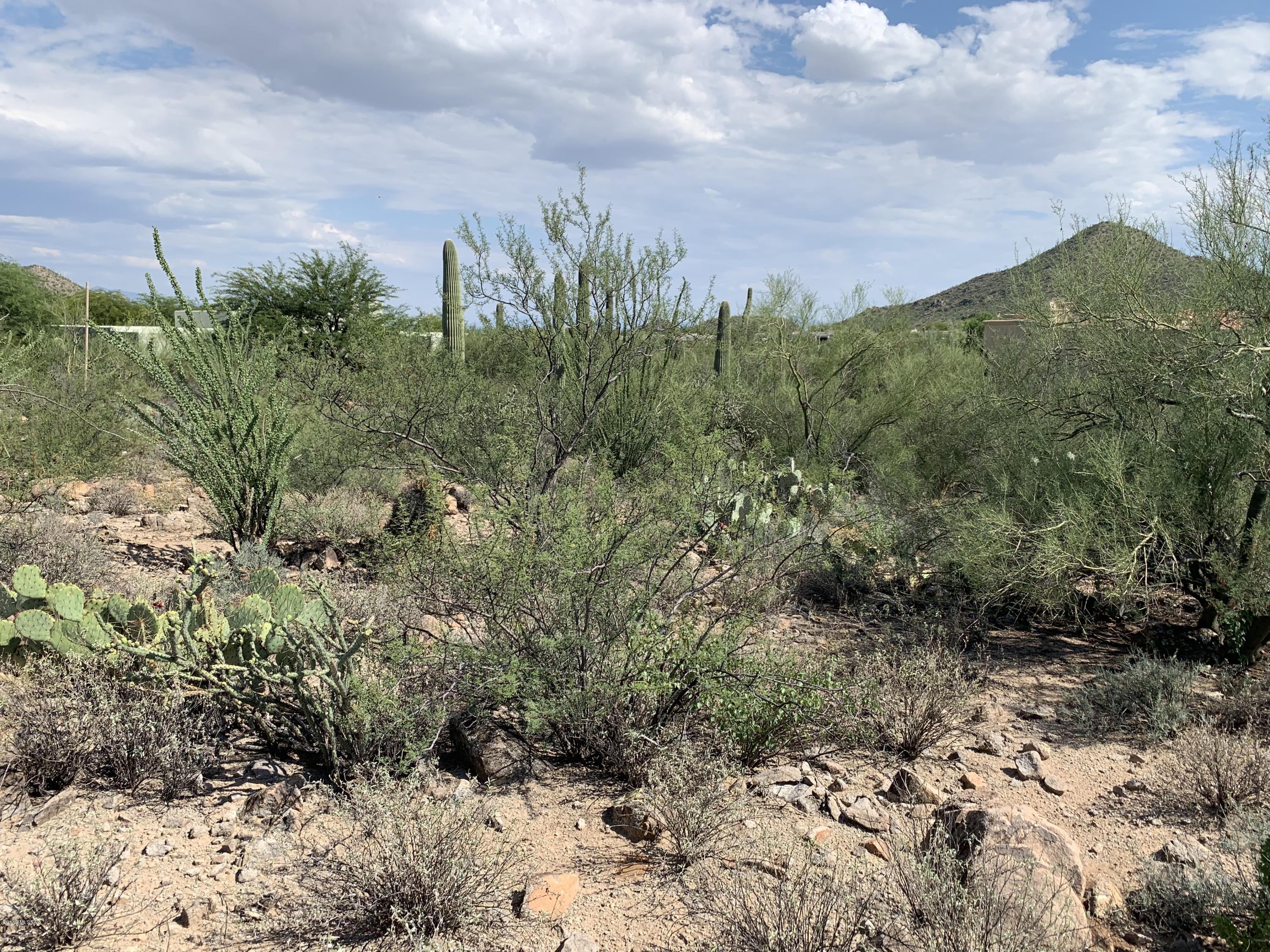 Tohono Ridge (1-21) - Land
