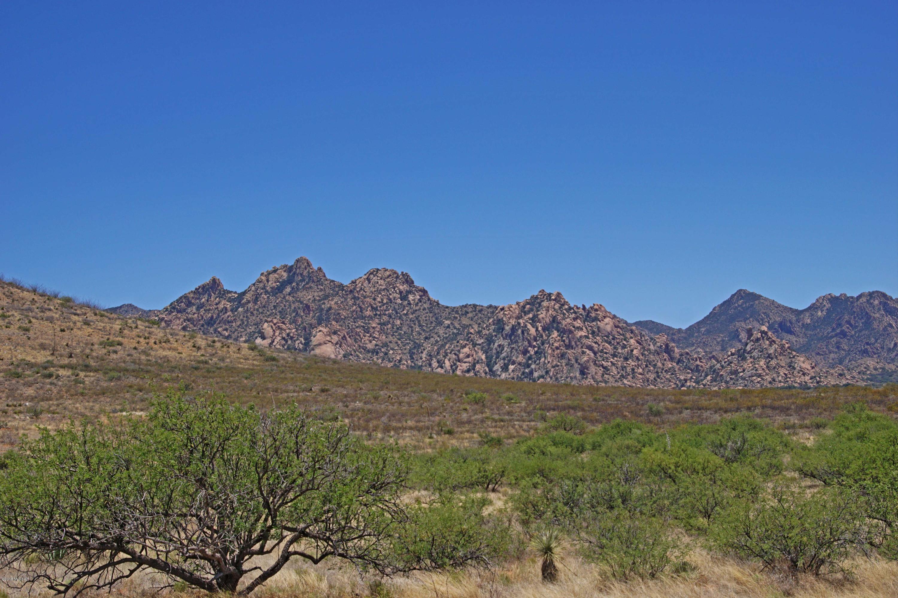 Escape to the Lush High Desert Grasslands of Dragoon Mountain Ranch in the Foothills of the Dragoon Mountains and Adjoining the Coronado National Forest! Build the Home of Your Dreams on this Wonderful 48 Acre Parcel with Spectacular Views of 5 Mountain Ranges! Dragoon Mountain Ranch Offers 2 Gated Entrances, Minimum 36 Acre Lot Sizes Which Can't be Split, Electric and Phone to the Property Lines and Equestrian Easements Allowing Direct Access to the National Forest! Whether You're Looking to Live Here Full or Part Time You'll Find the Higher Elevation Comfortable Year-Round! Build the House and Bring the Horses!