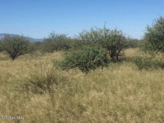 Dragoon Mountain Ranch - Land