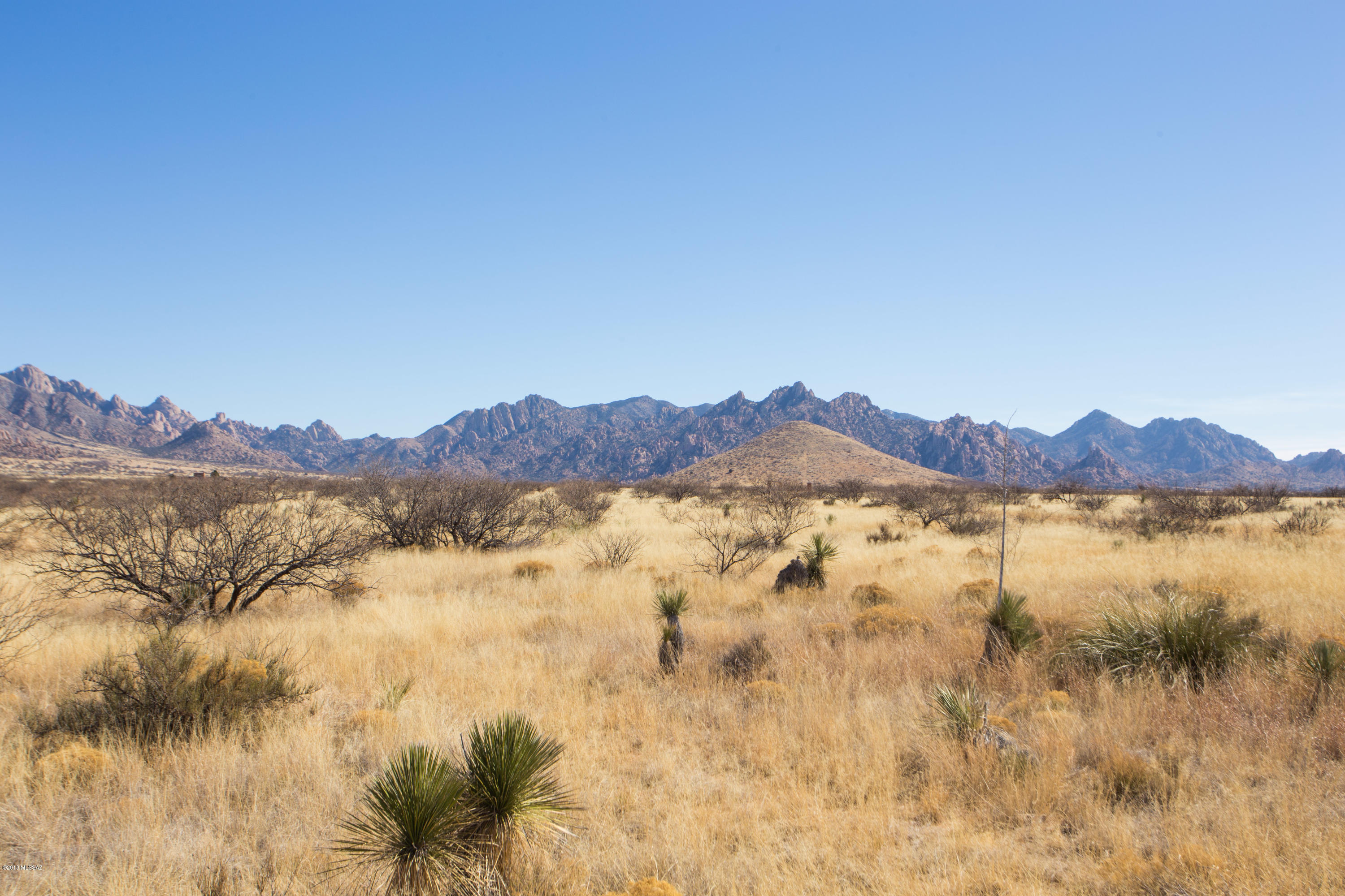 Dragoon Mountain Ranch - Land