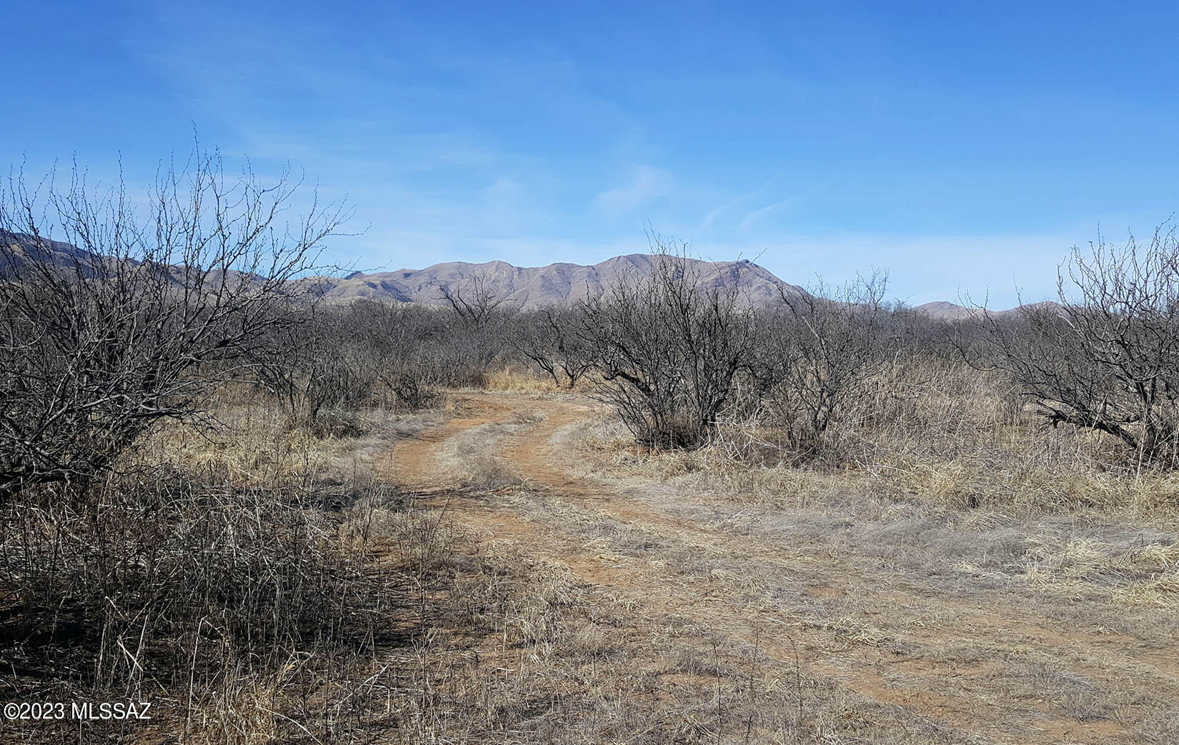 Arizona Sun Sites - Land