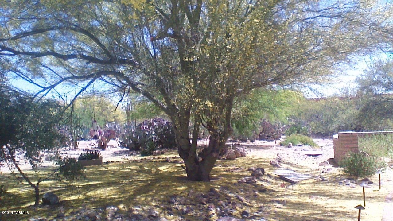 Rancho Buena Vista (1-29) - Residential