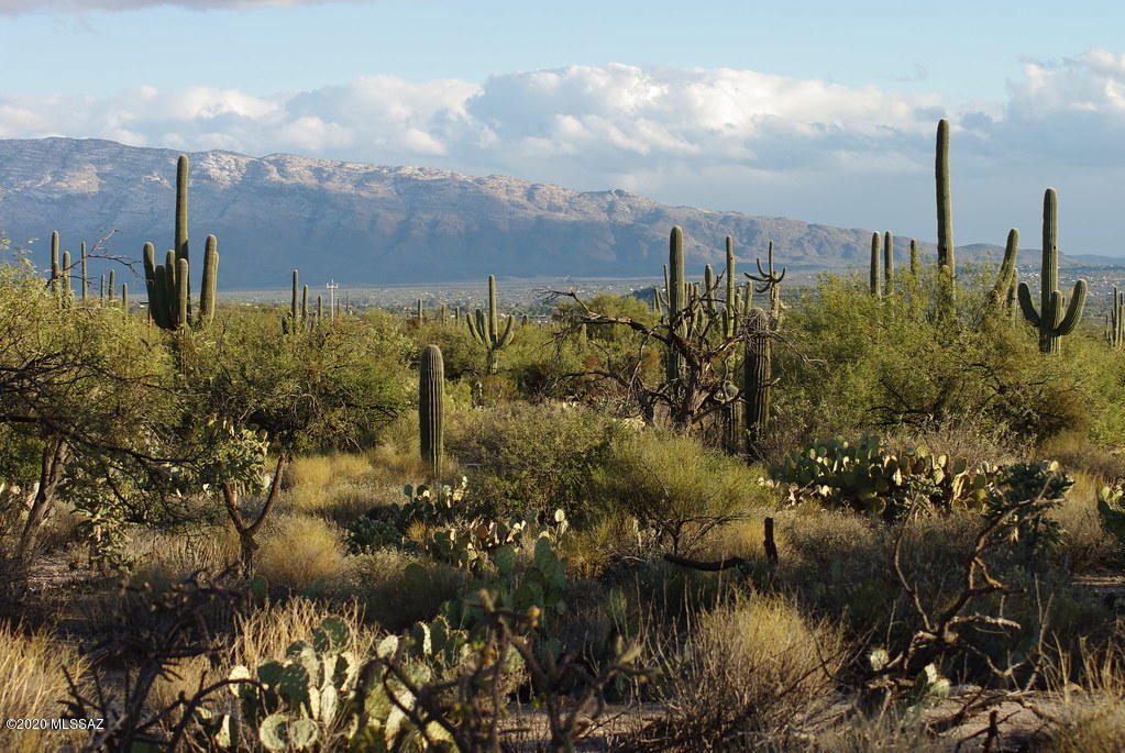 Range price listing $90,000 - $100,000, Seller will accept or counter offers within the range. One of the VERY FEW left. BEAUTIFUL and AFFORDABLE. Over 1 acre with north facing PANORAMIC CATALINA and RINCON VIEWS. Minutes to AWARD WINNING Vail Schools, colossal cave, hiking trails, golf course, Rincon Valley Farmers Market. Build your custom dream home!