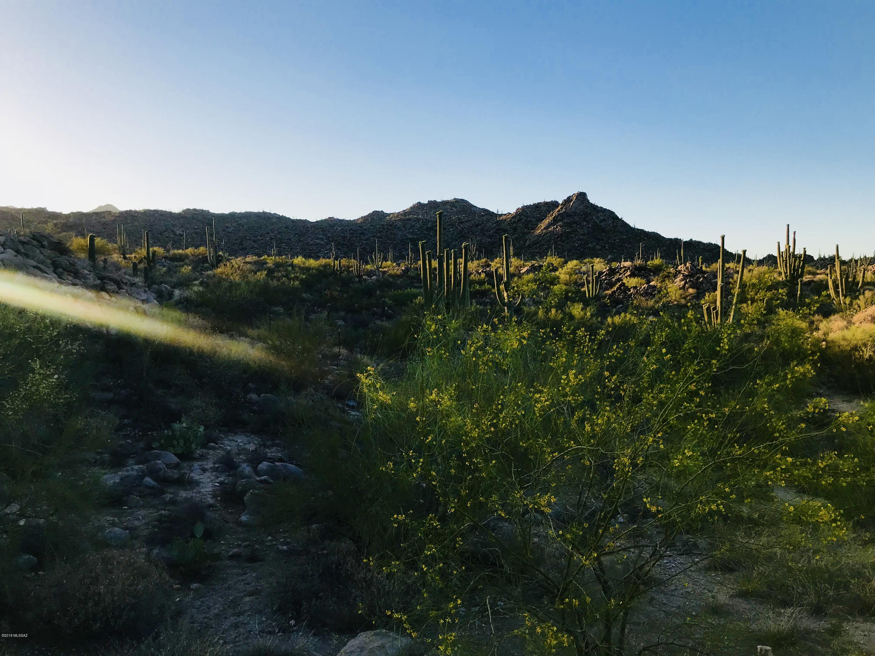 Stone Canyon VII (404-485) - Land