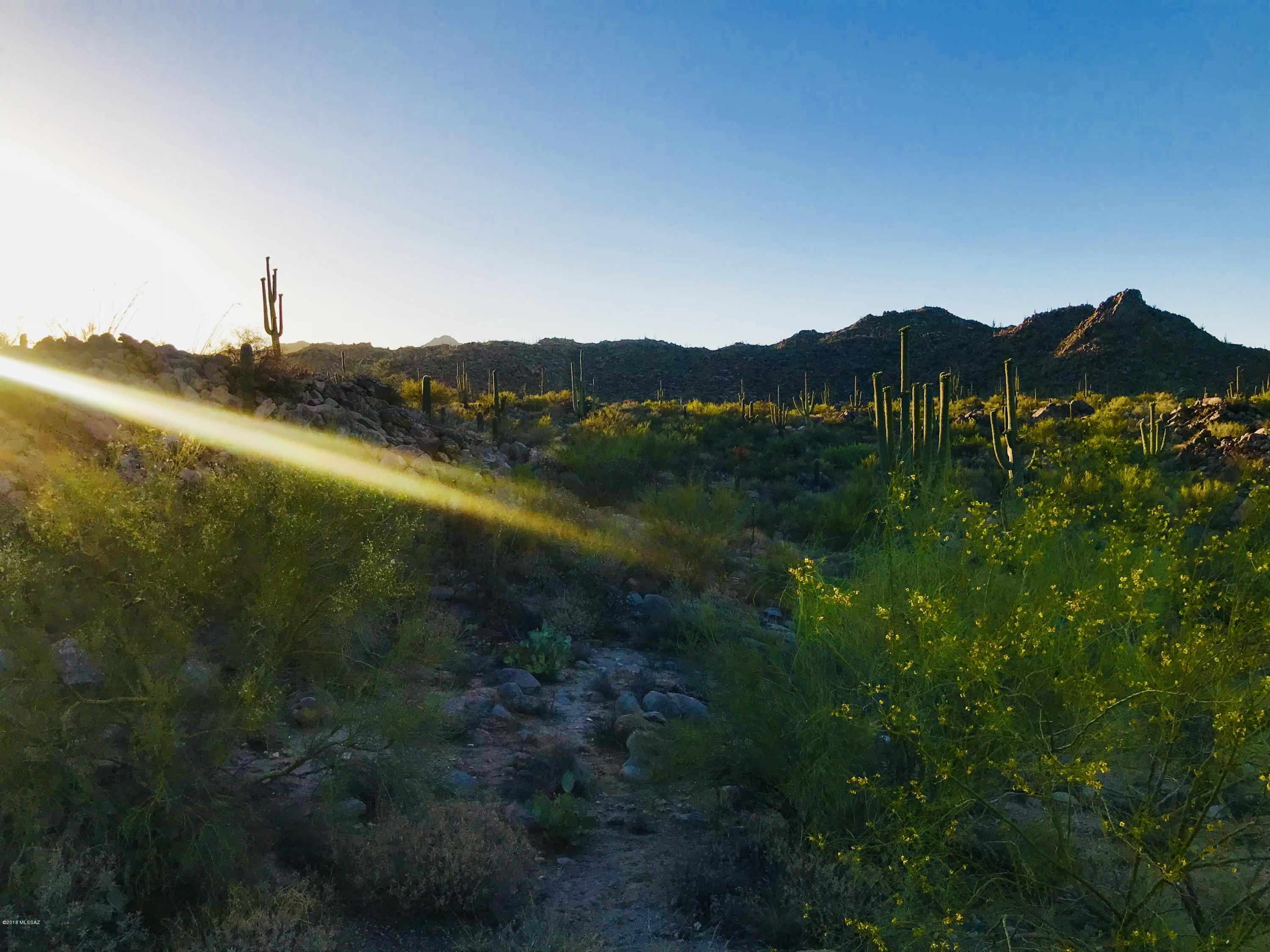 Stone Canyon VII (404-485) - Land