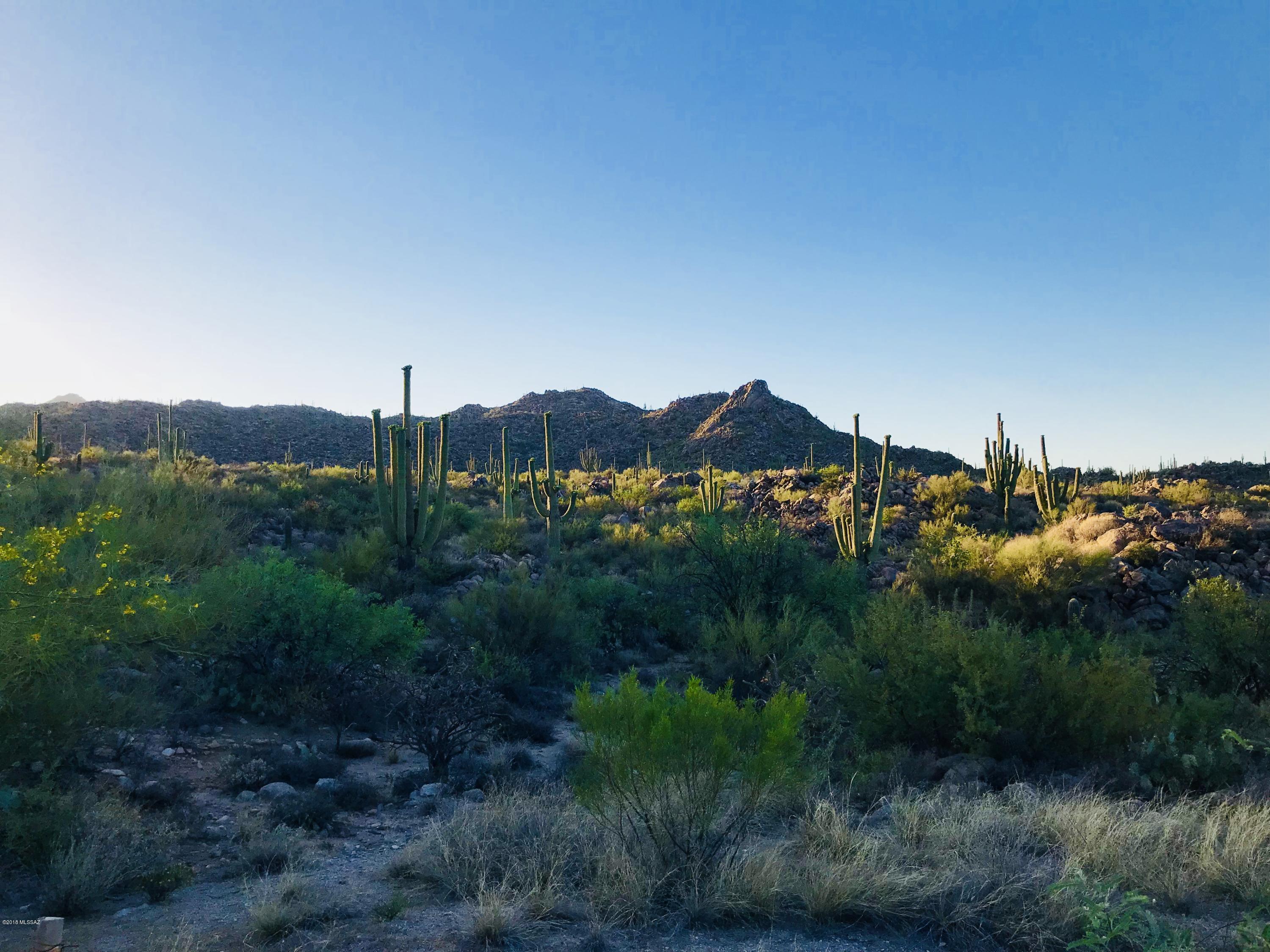 Stone Canyon VII (404-485) - Land