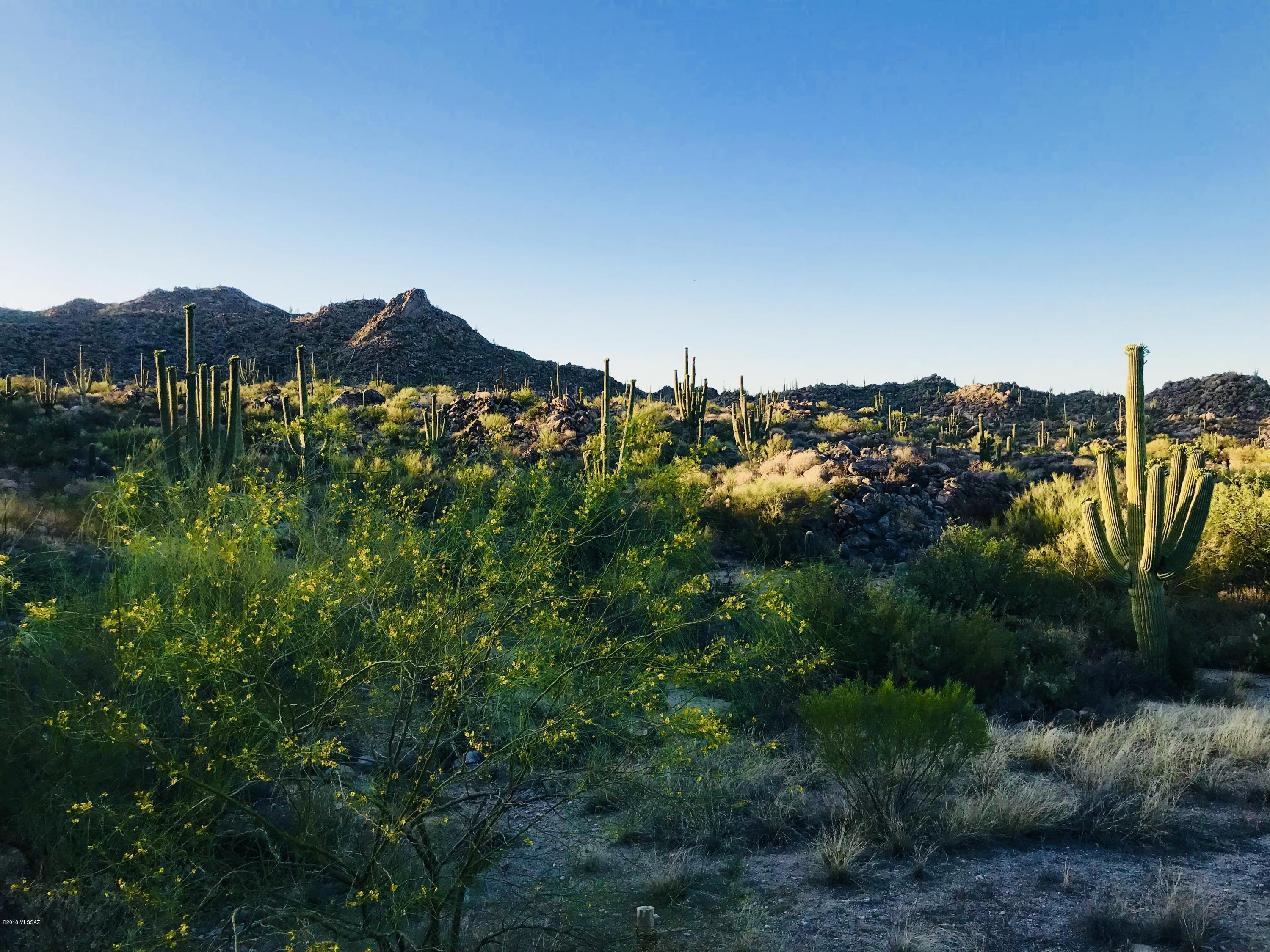 Stone Canyon VII (404-485) - Land
