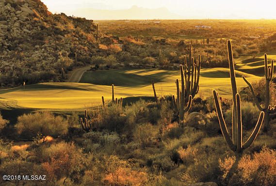 Stone Canyon VII (404-485) - Land