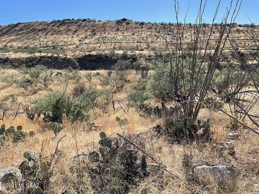 Rio Rico Ranchettes 17 - Land