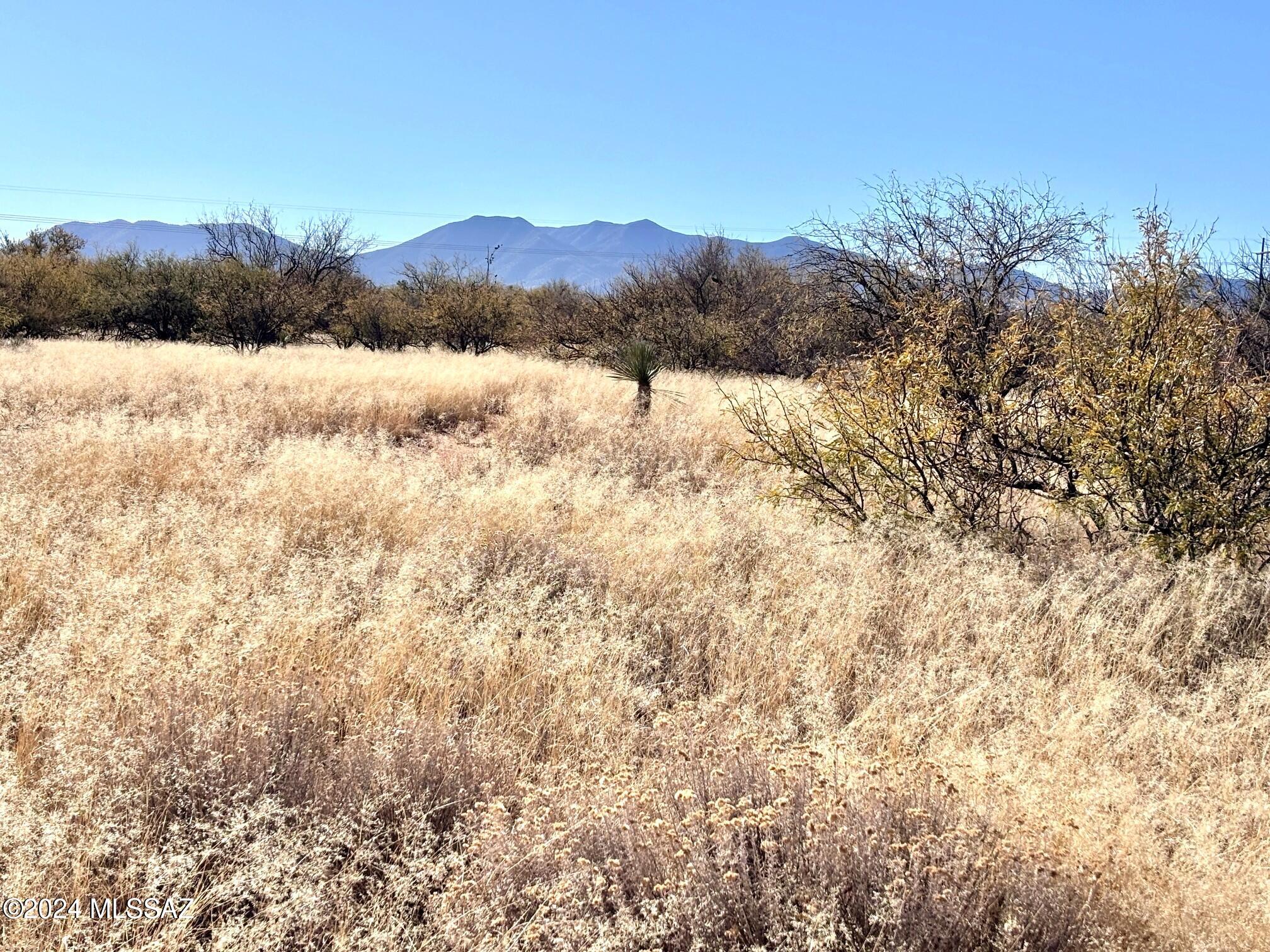Happy Valley Acres! That's the subdivision name! Easy, Rural Lifestyle awaits. This parcel is the west half of tax parcel 124-04-007. Pristine grassland plus a Mesquite Bosque along the parcel's east boundary- a natural privacy barrier. 4100 ft elevation! Enjoy Cooler Summers! Fantastic horse property. Less than 1 mile of county maintained dirt rd! EZ access to I-10, Benson and Tucson! Electric poles along the boundary. Enjoy the ease of Cochise County building codes. All types and sizes of home allowed. Let your imagination dictate your design. Electric poles along the property line. Survey flags are in place at the lot corners. If more acreage is desired, seller has 2 adjacent parcels for sale. One is 3+ac and the other is 5+ac.