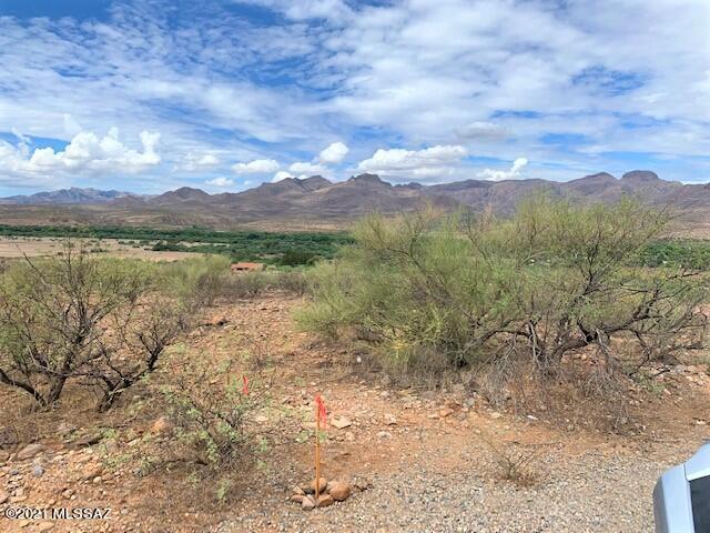 Rio Rico Estates 16 - Land