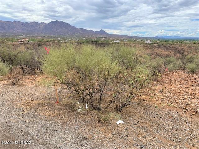Rio Rico Estates 16 - Land