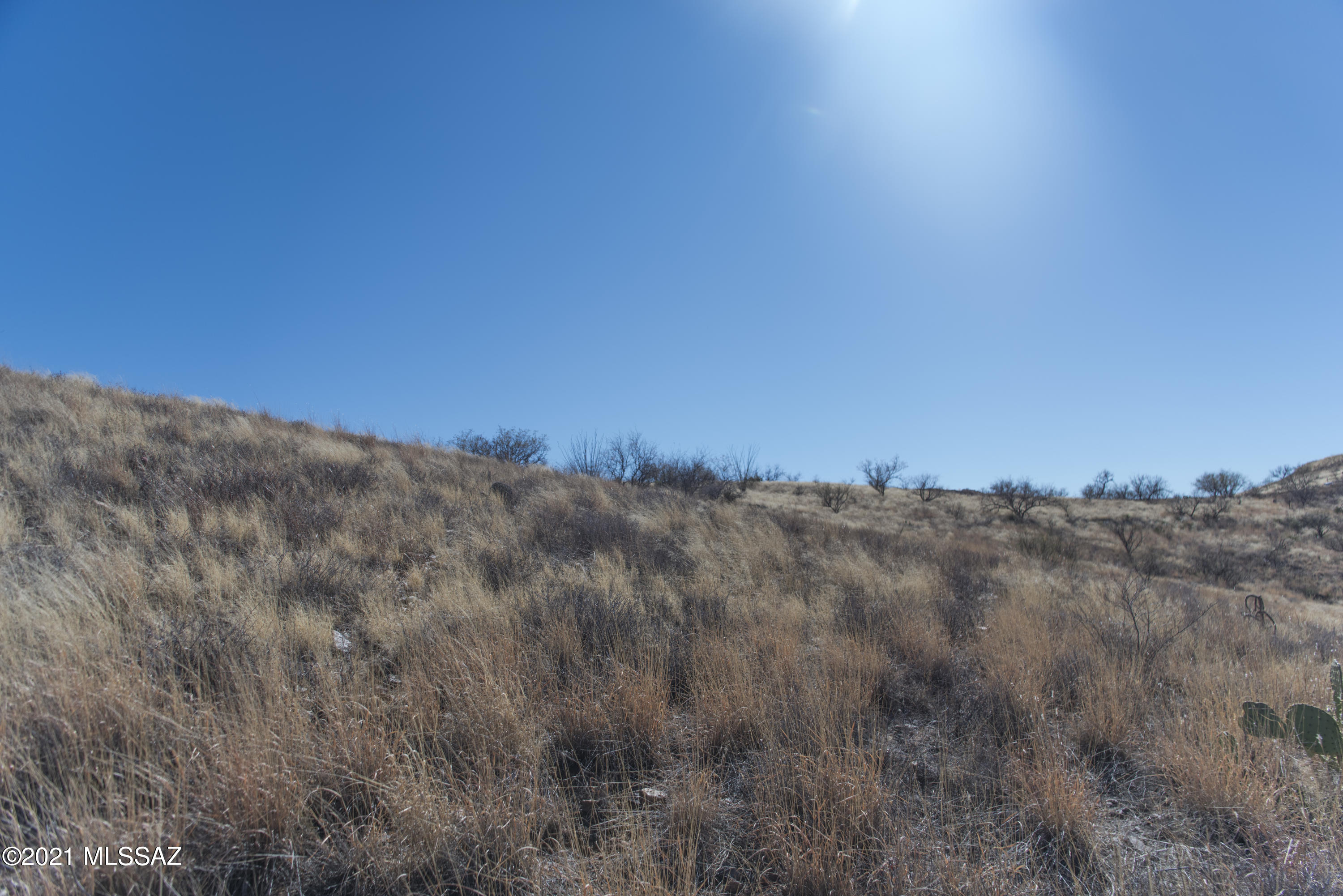 Kino Hills - Land