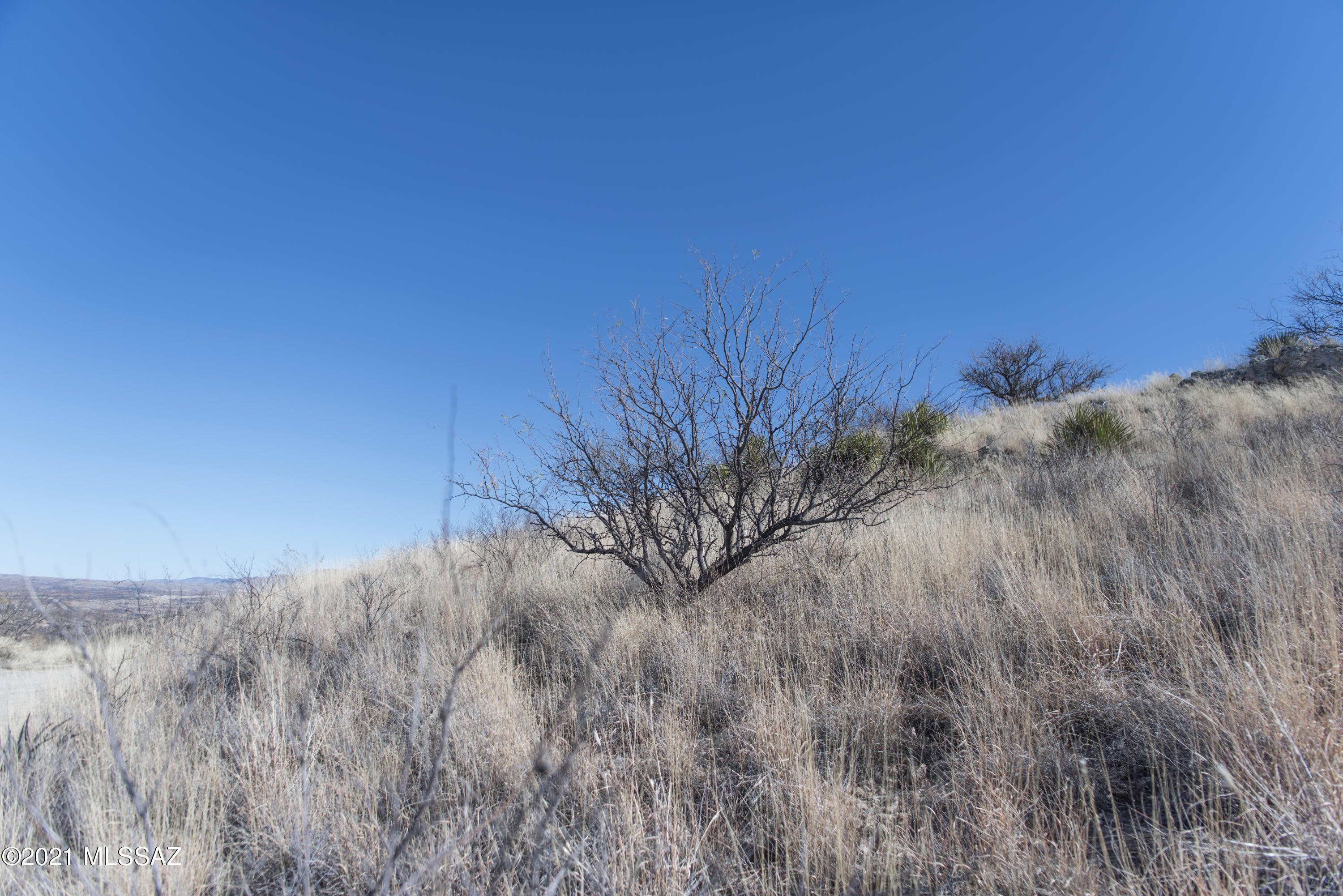 Kino Hills - Land