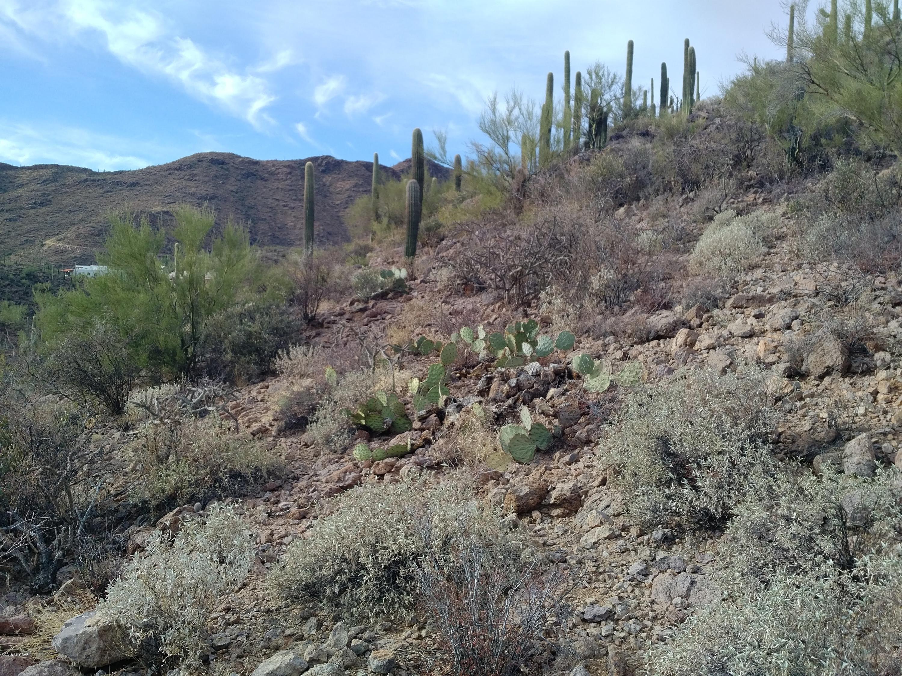 Mountain Garden Estates (12-64) - Land