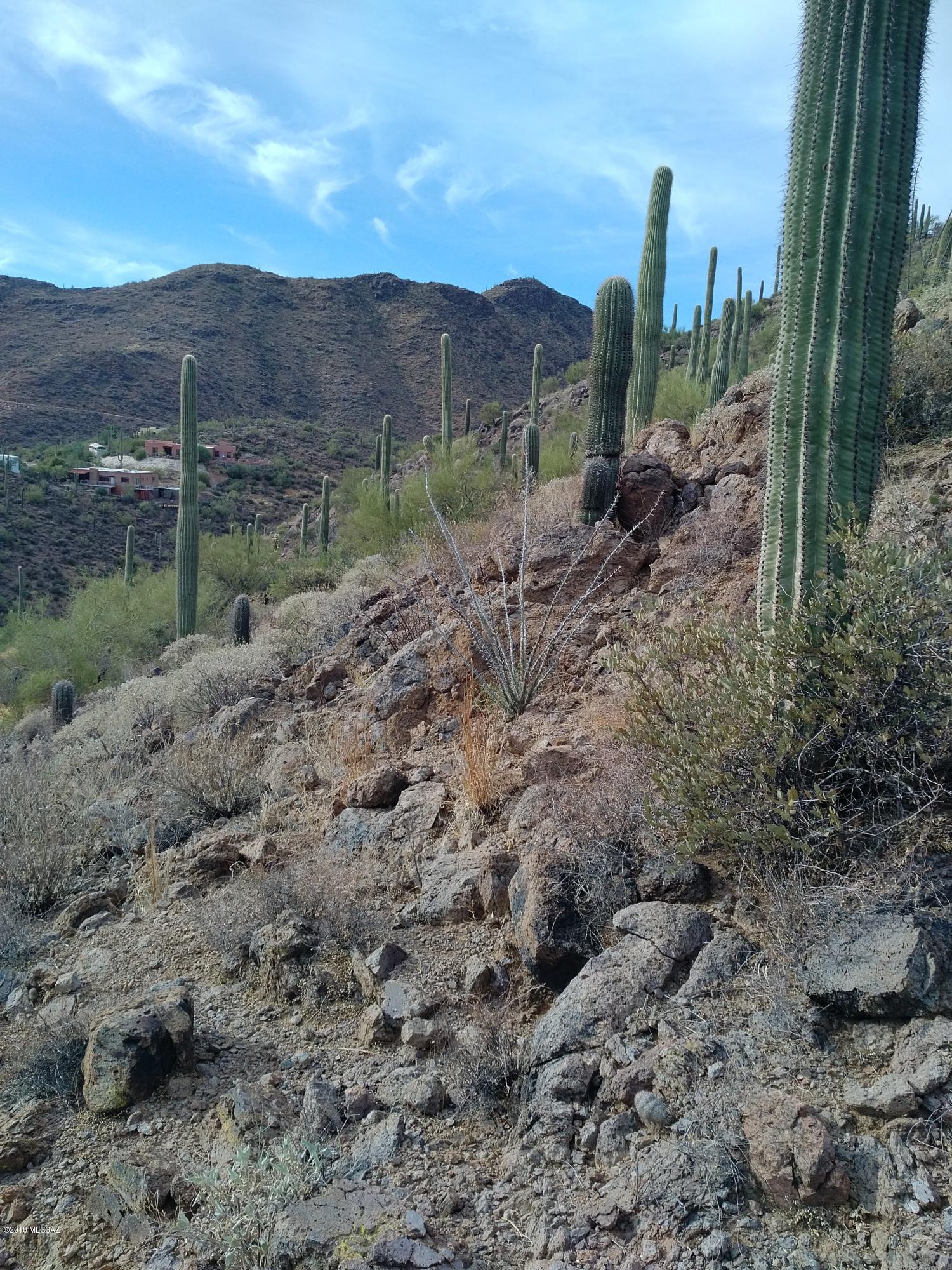 Mountain Garden Estates (12-64) - Land