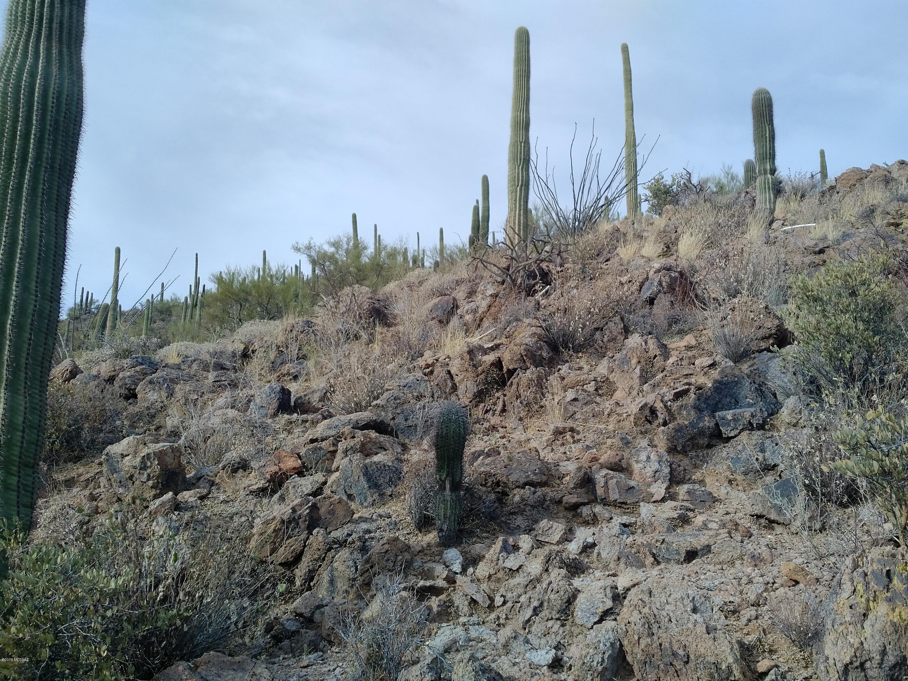 Mountain Garden Estates (12-64) - Land