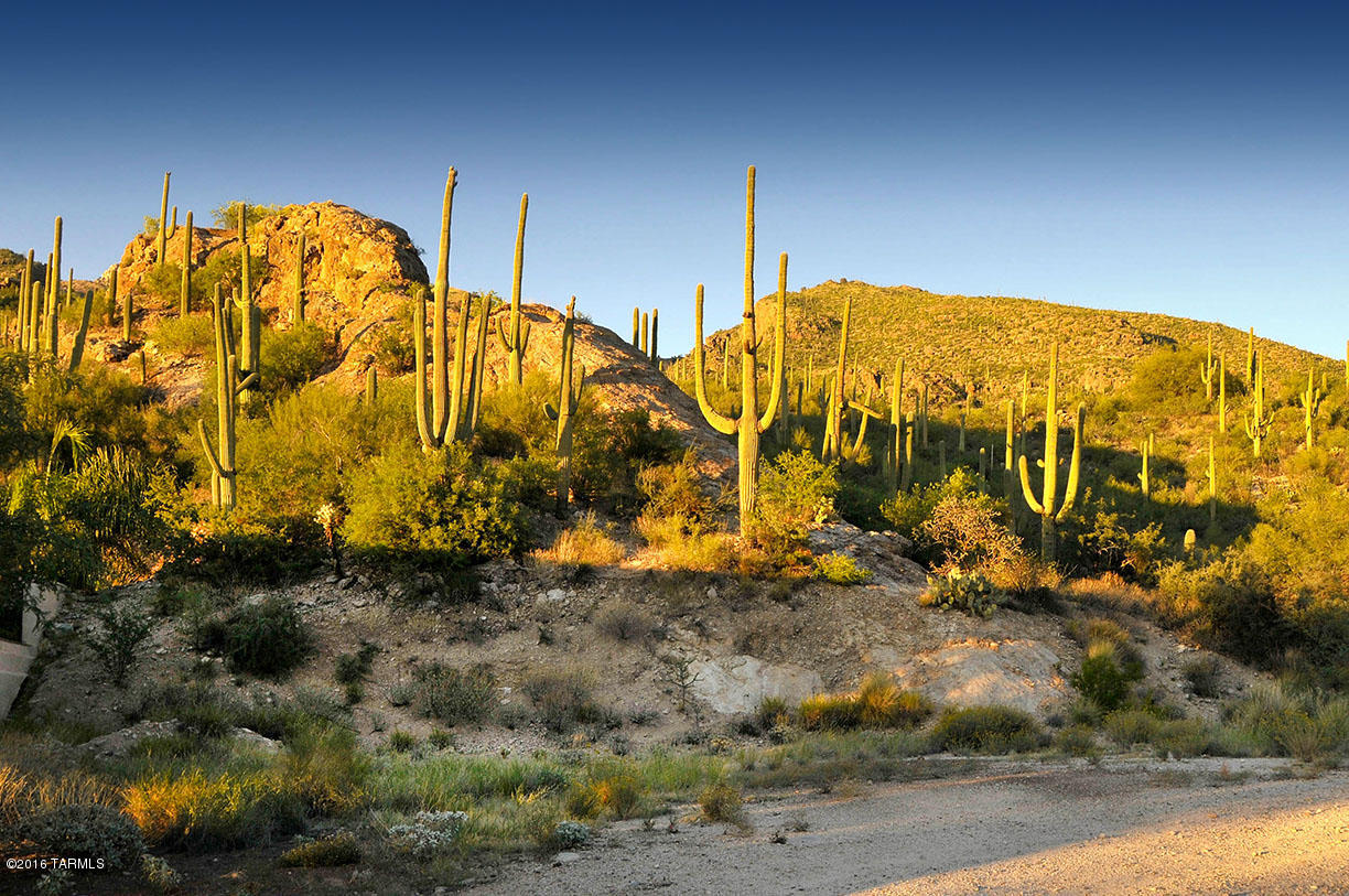 Ventana Country Club Estates (1-67) - Land