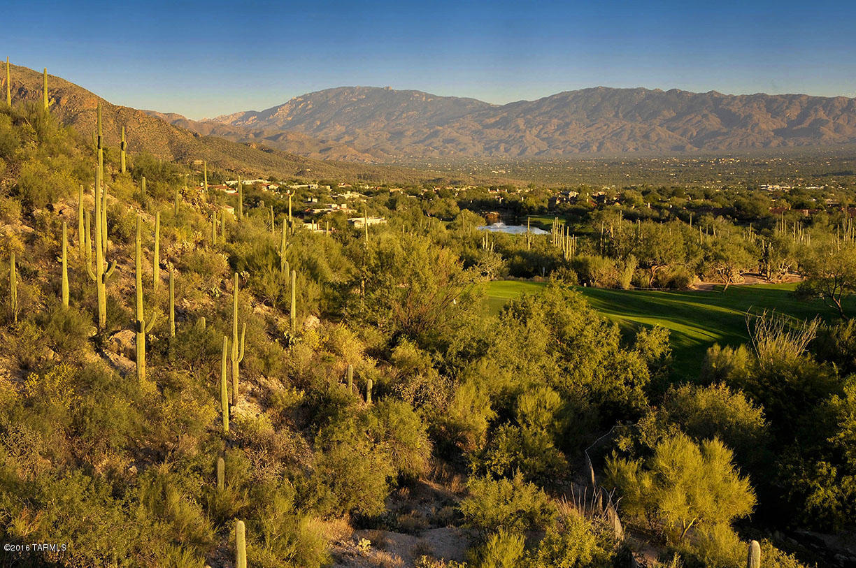 Ventana Country Club Estates (1-67) - Land