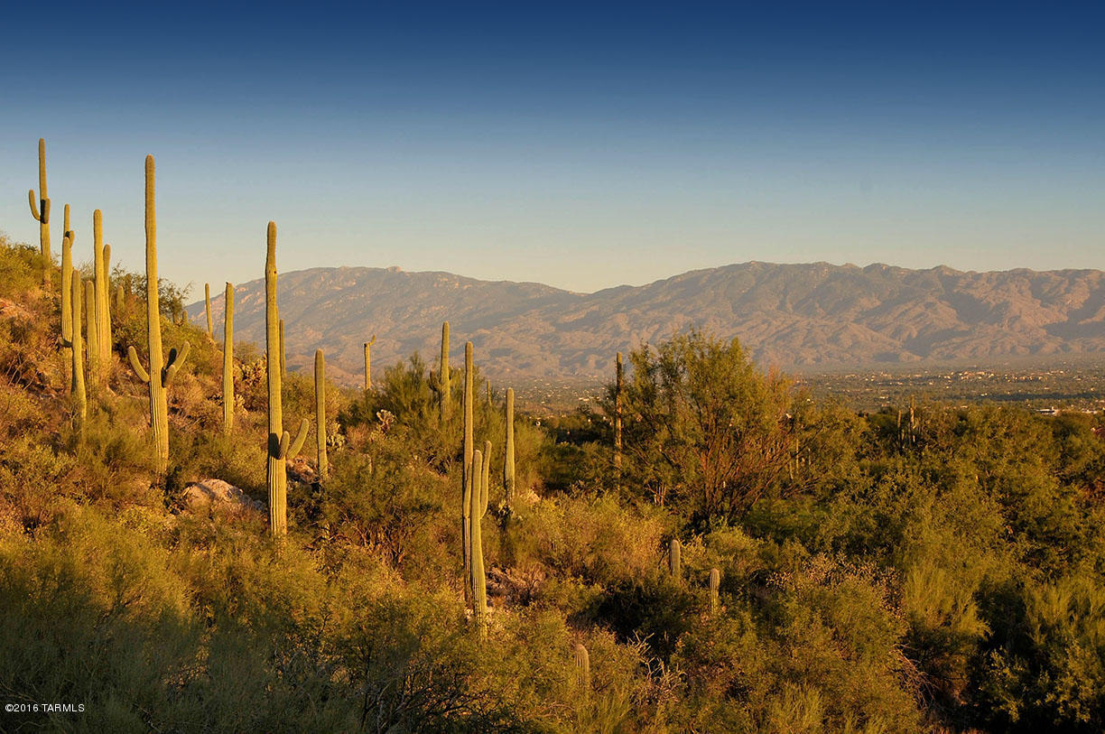 Ventana Country Club Estates (1-67) - Land
