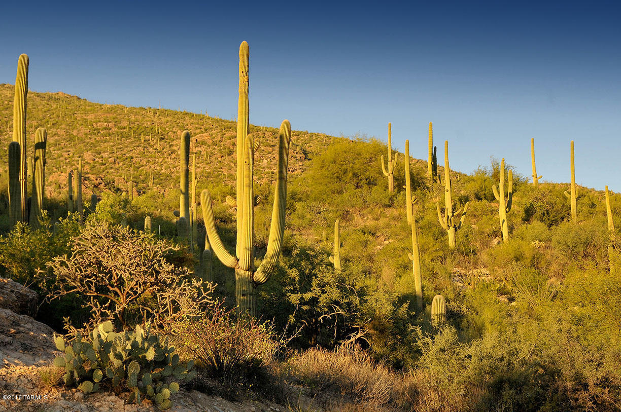 Ventana Country Club Estates (1-67) - Land