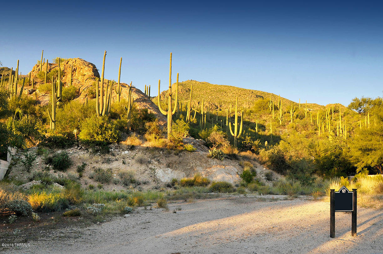 Ventana Country Club Estates (1-67) - Land