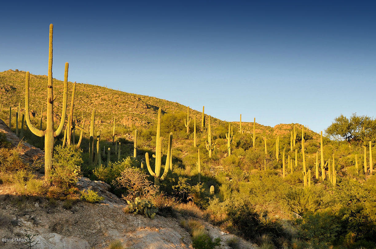 Ventana Country Club Estates (1-67) - Land