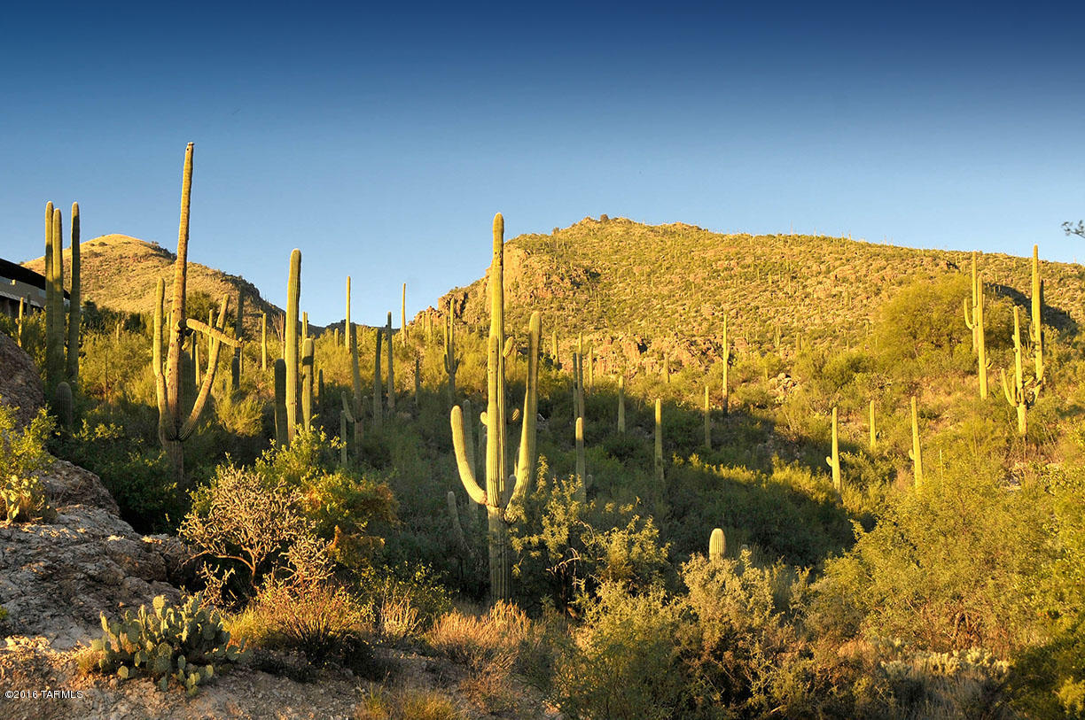 Ventana Country Club Estates (1-67) - Land